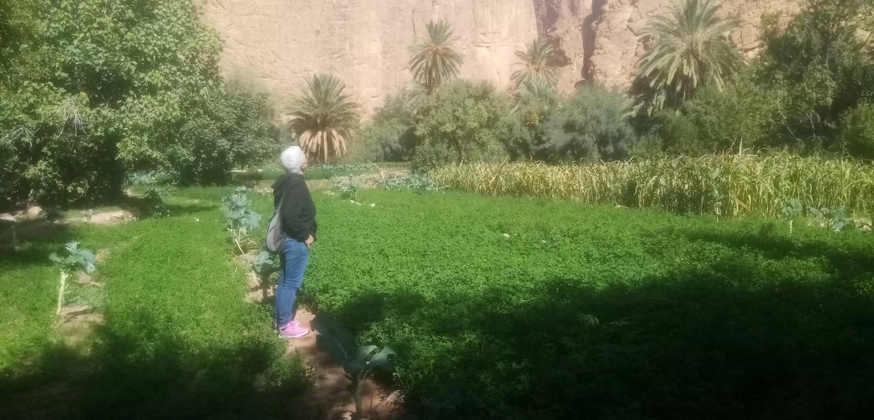 Maison d'Hôte Valentine