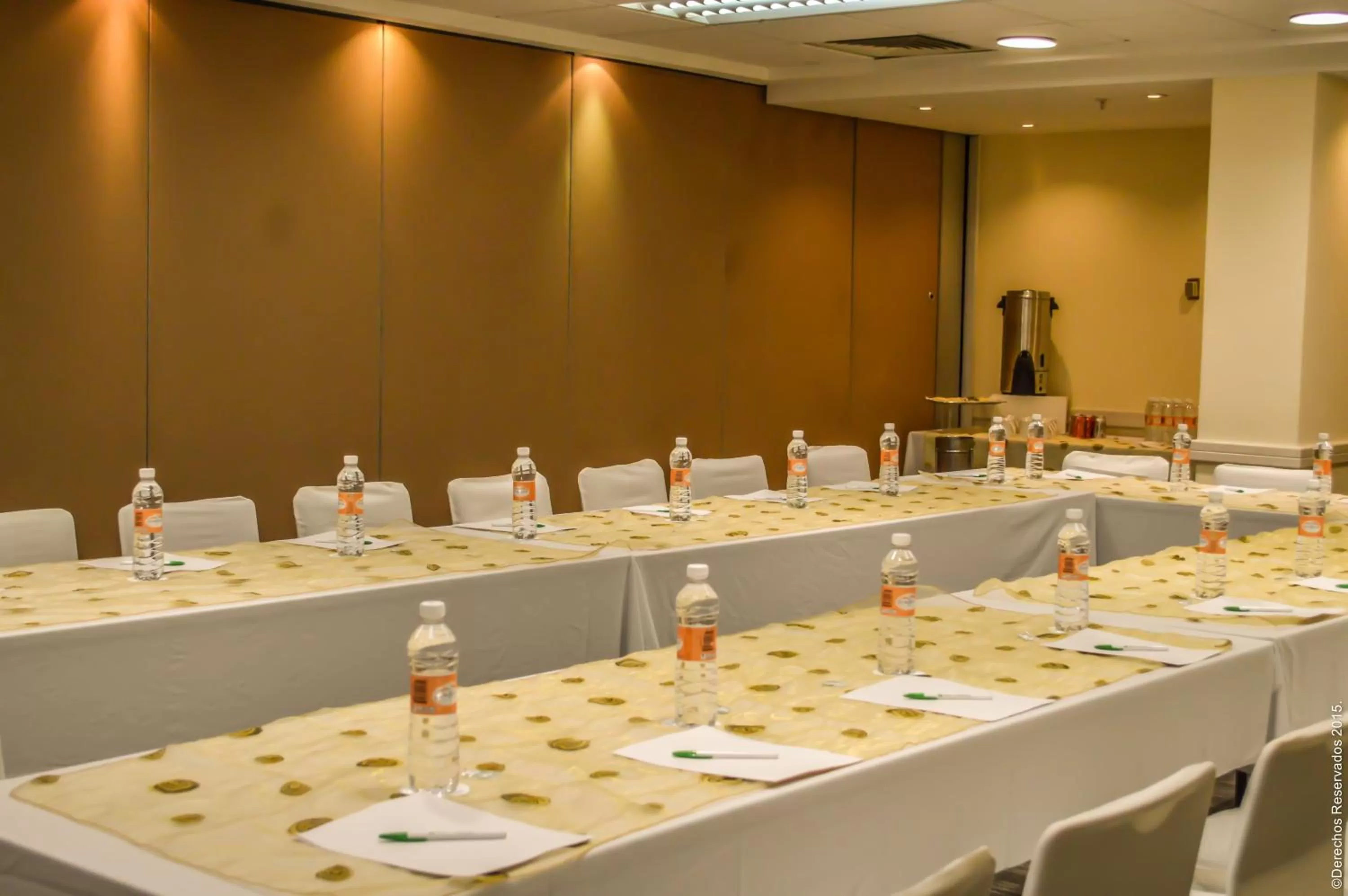 Meeting/conference room in Holiday Inn Leon-Convention Center by IHG