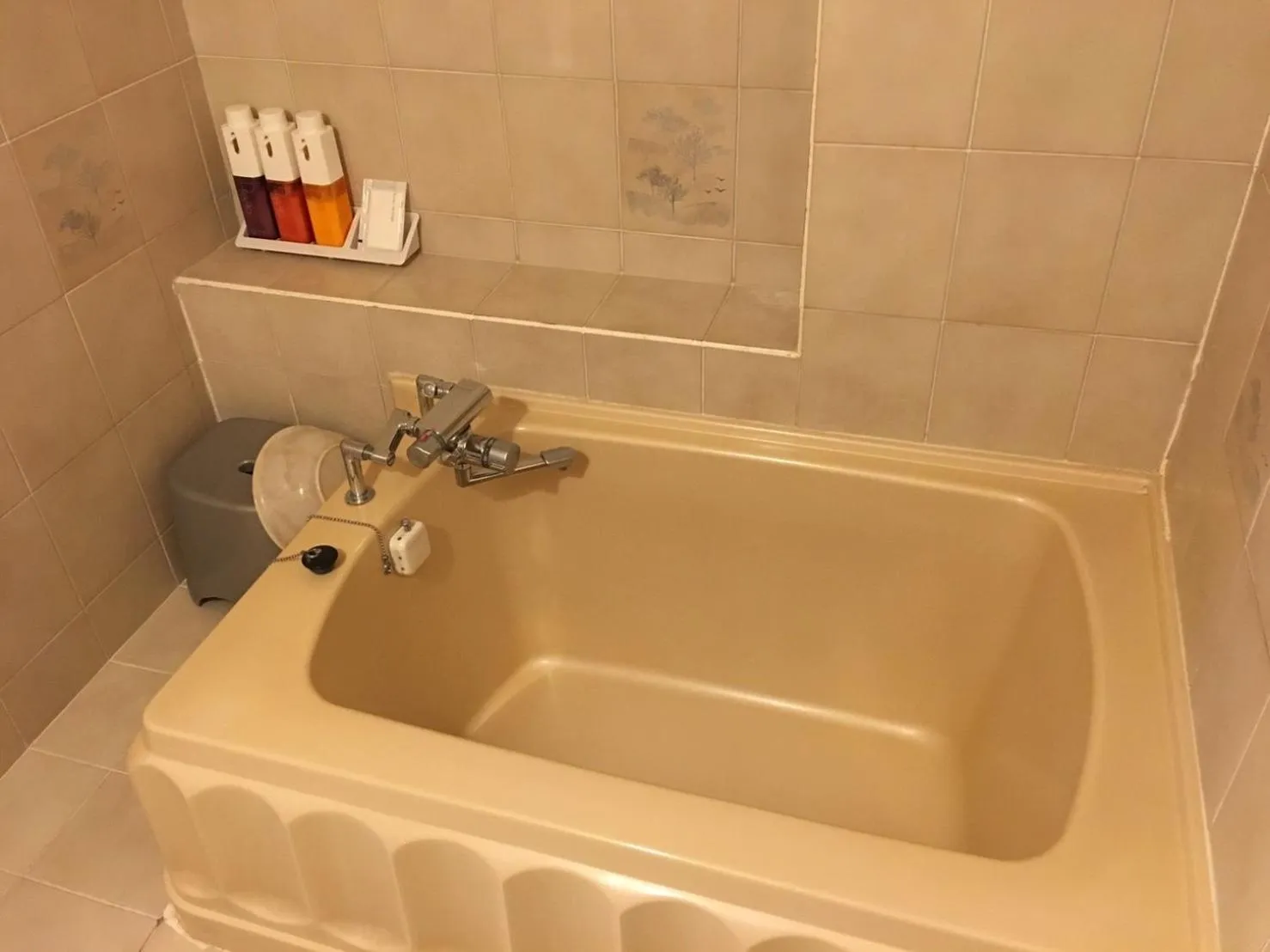 Business Hotel La Firenze