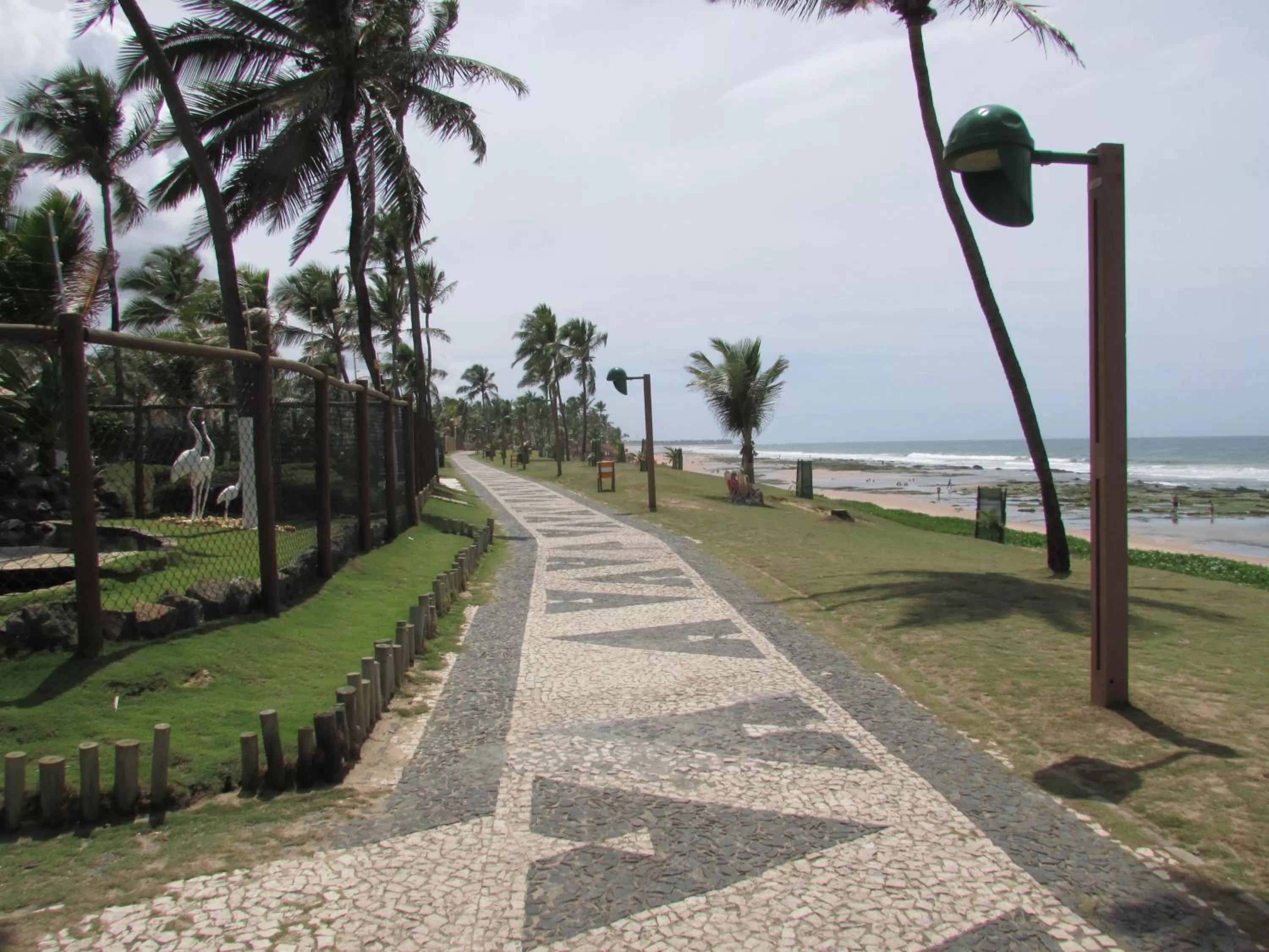 Beach, Garden in Pousada Ipitanga IV