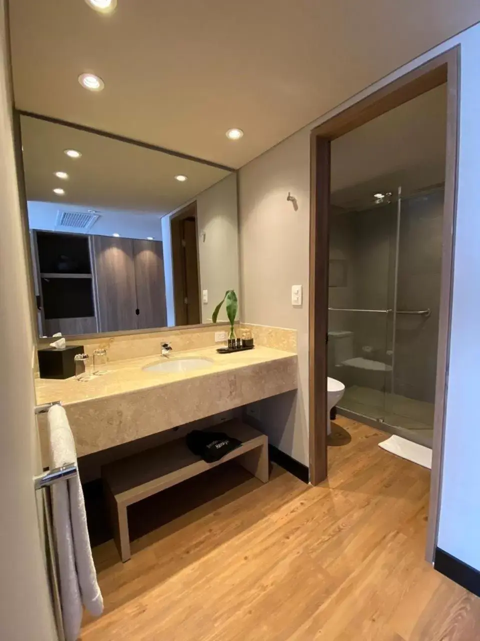 Superior King Room in Movich Hotel de Pereira Superior King Room in Movich Hotel de Pereira