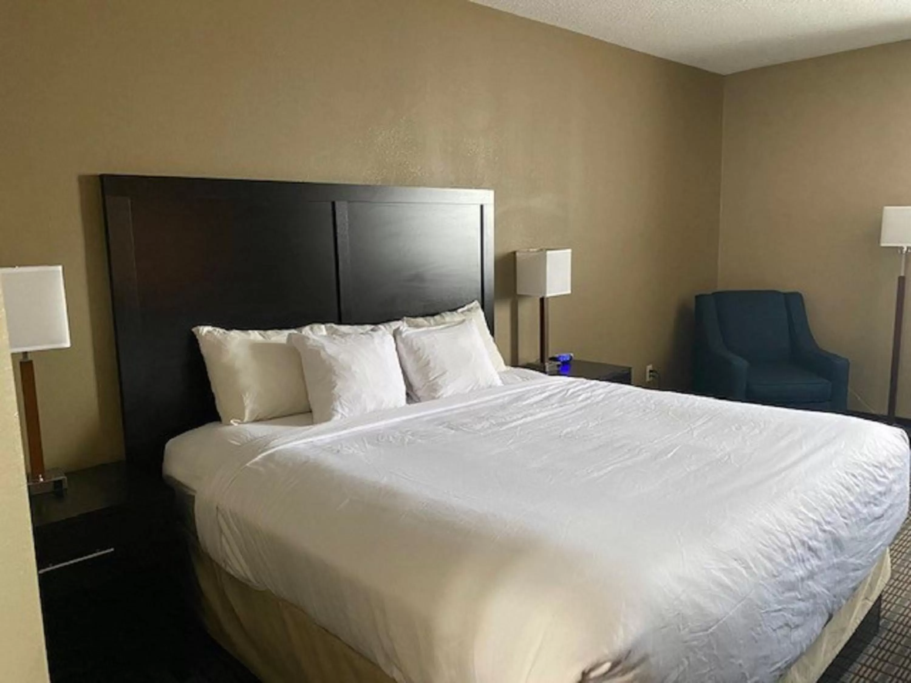 Bedroom, Bed in SureStay Plus by Best Western Jonestown Lebanon Valley