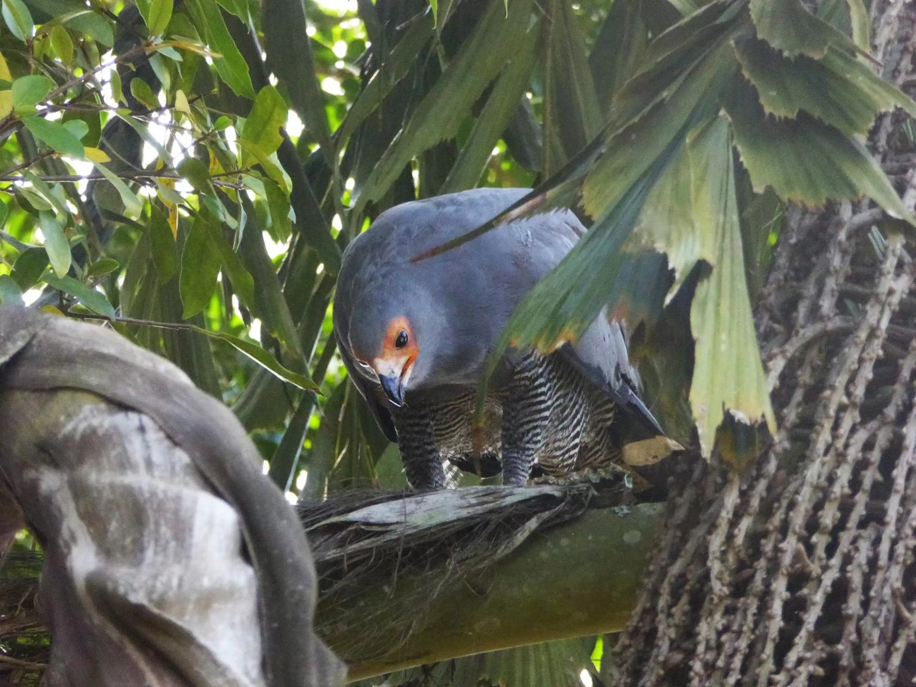 Garden in ViaVia Entebbe
