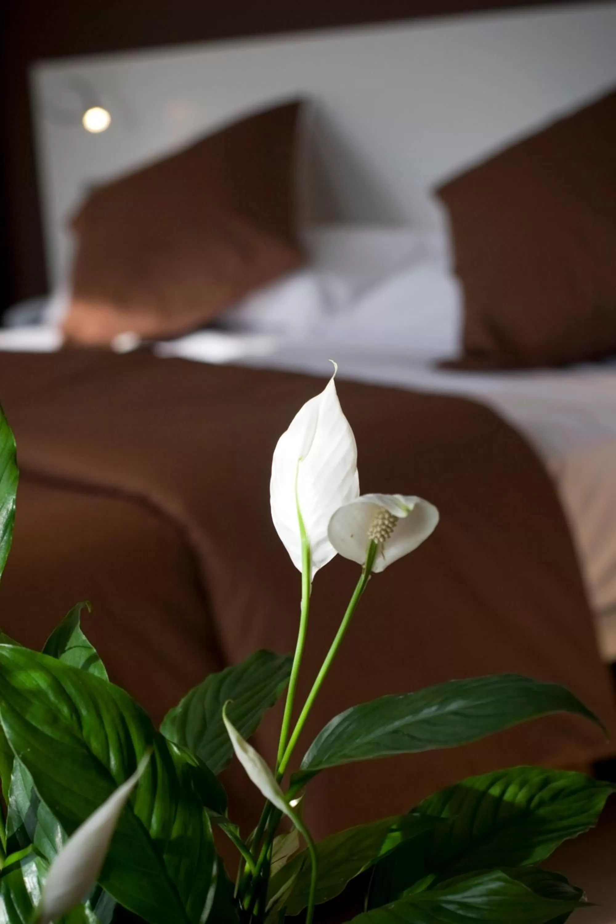 Other, Bed in Hotel La Sèquia Molinar