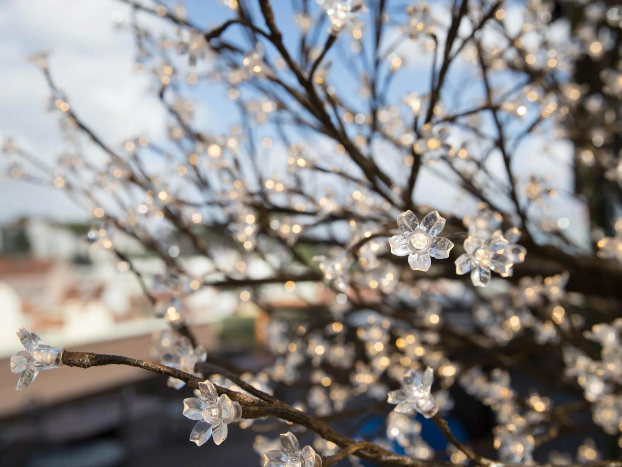 Balcony/Terrace in room00 Lisboa Hostel