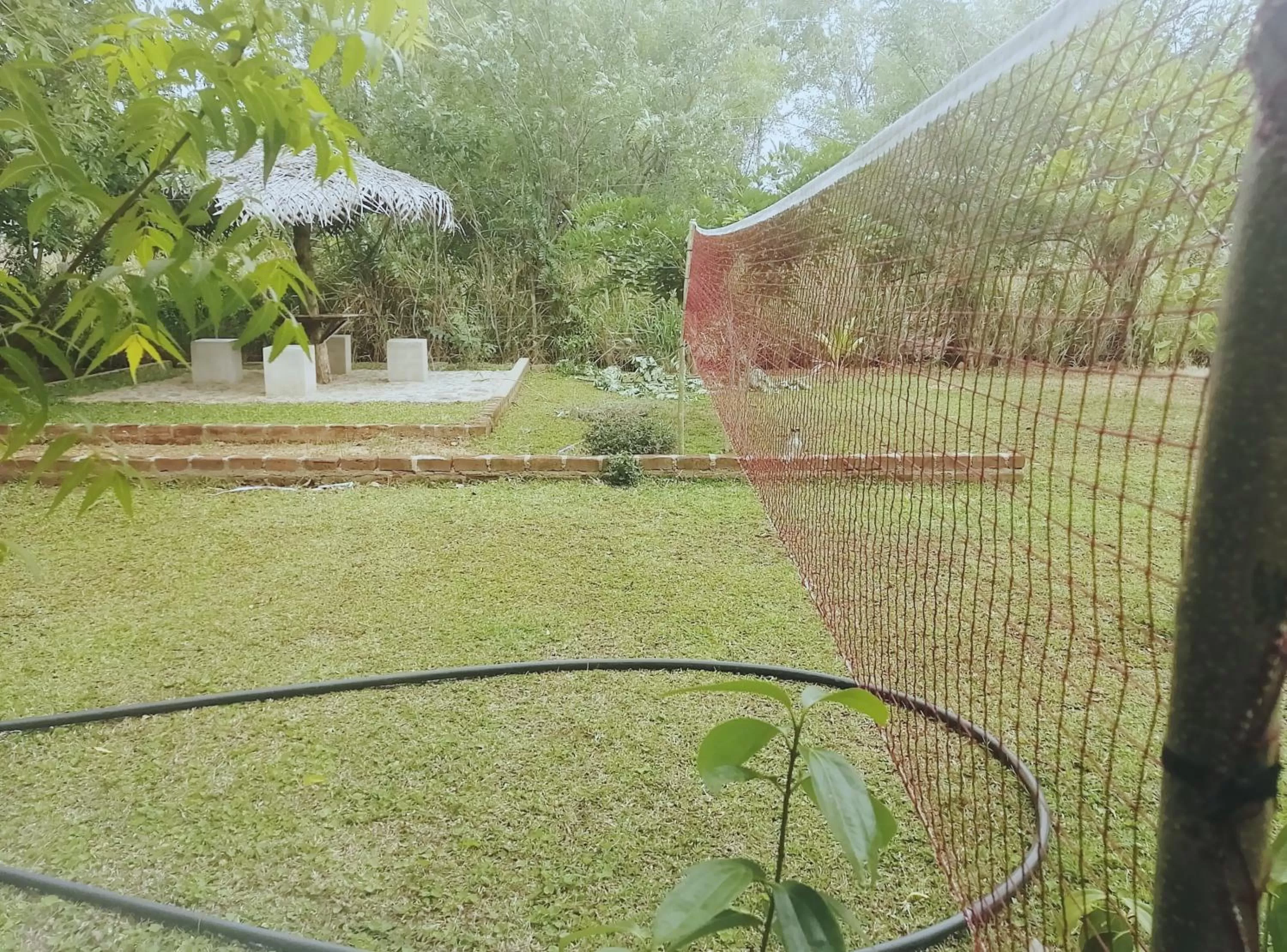 Garden in Green Cottage