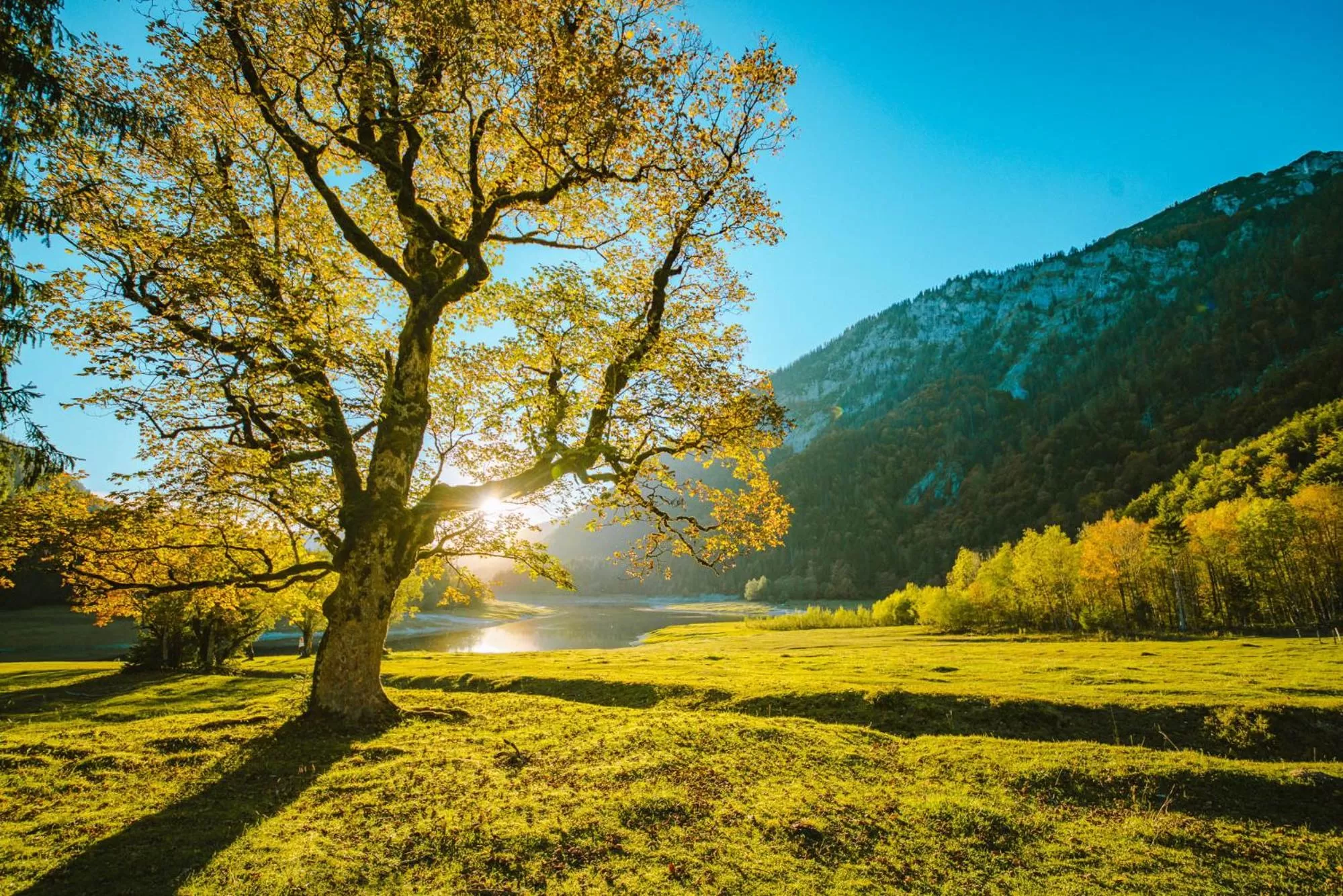 Natural landscape in aja Ruhpolding