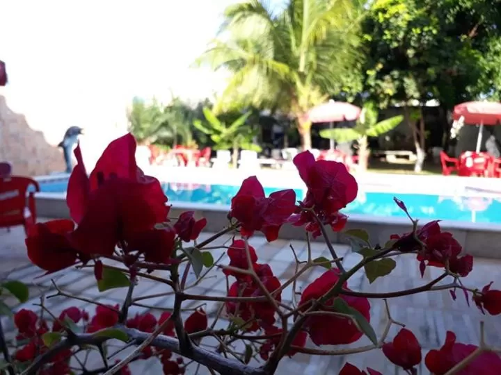 Swimming Pool in Pousada Das Palmeiras