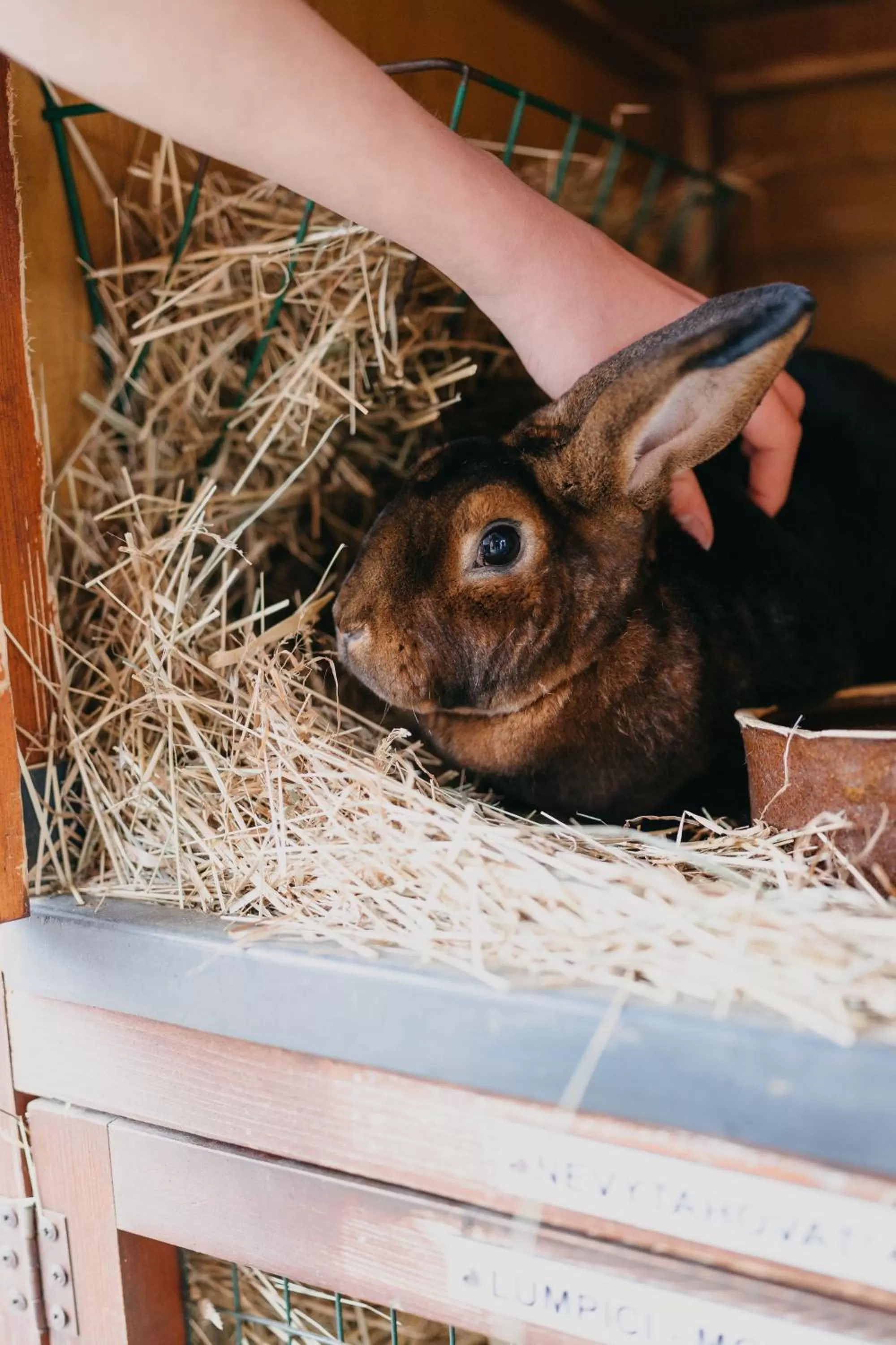 Other Animals in OREA Resort Panorama Moravský kras