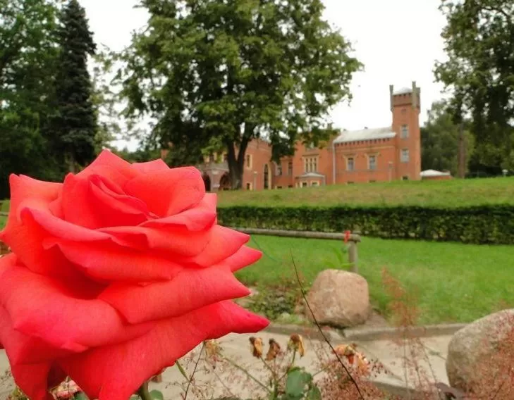 Other, Property Building in Hotel Zamek Karnity