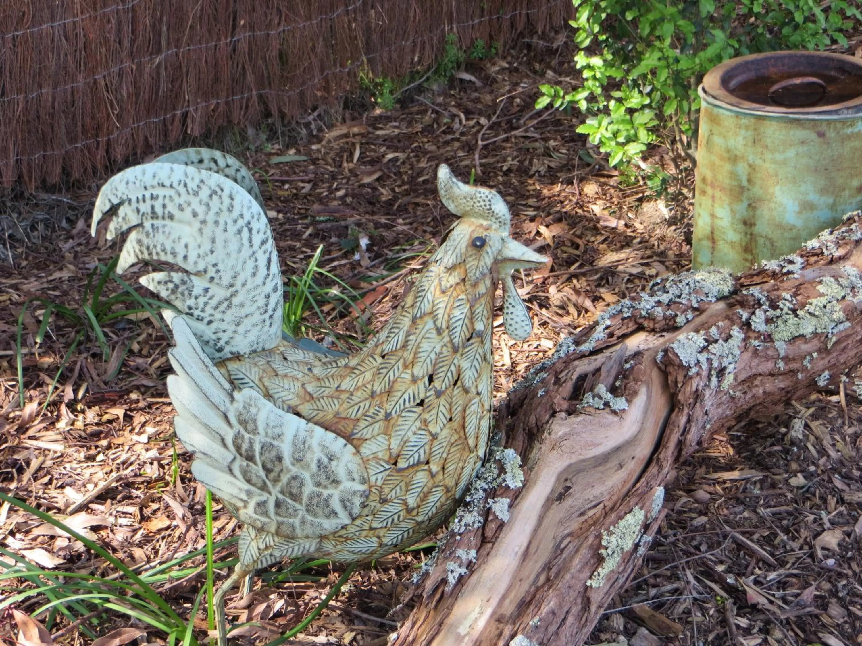Other Animals in Honeyeater Cottage