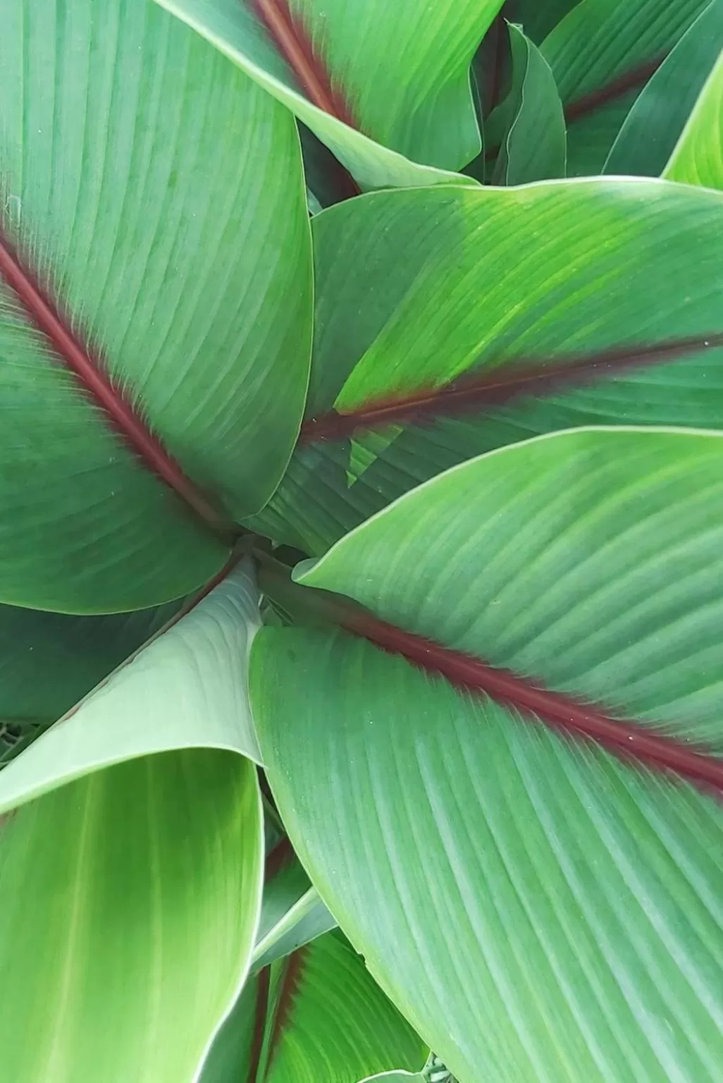 Off site in Balsora Hotel Boutique