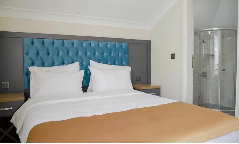 Bathroom, Bed in İnanlar Airport Residence