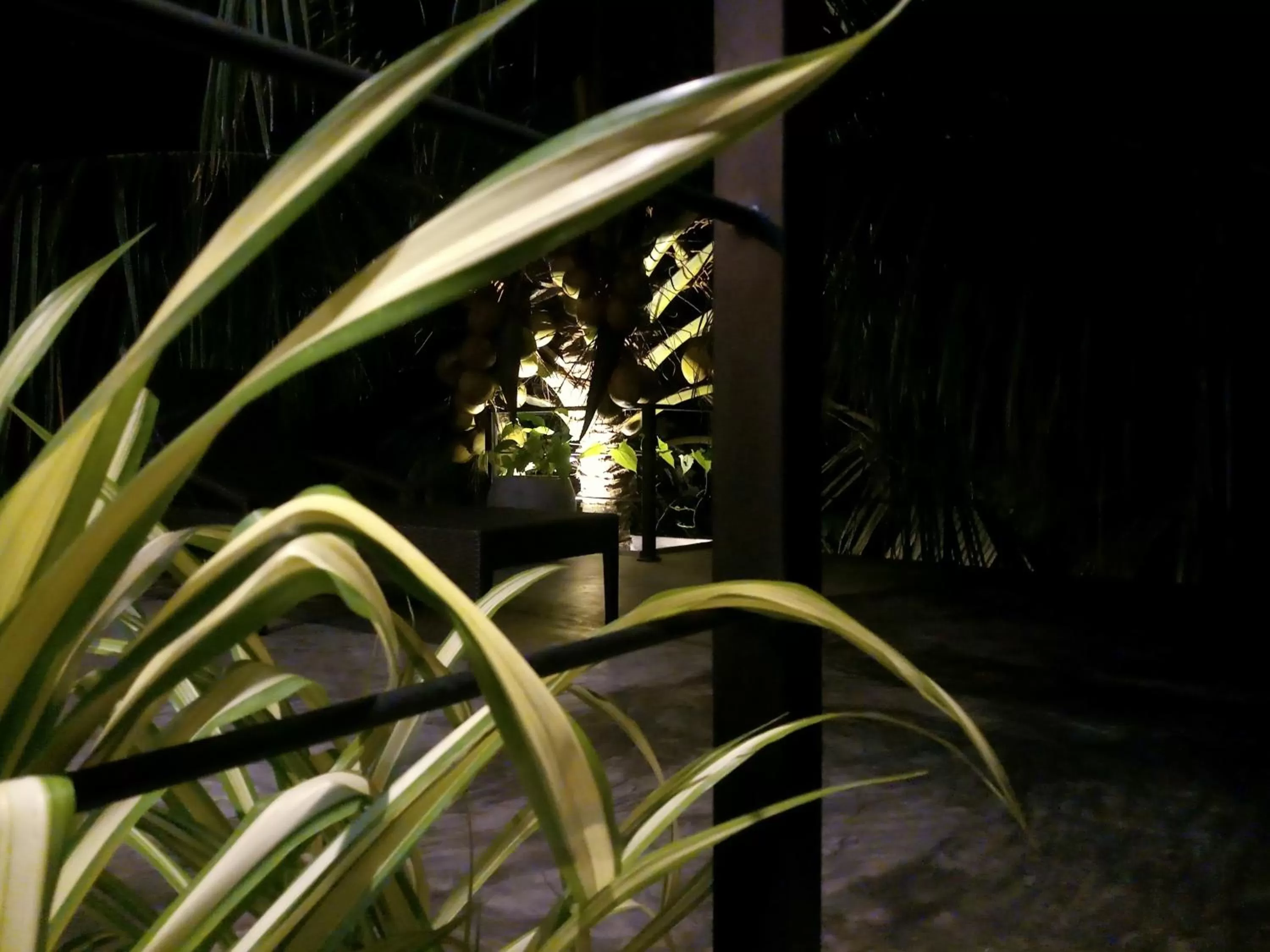 Restaurant/places to eat in Weligama Bay Watsila Resort