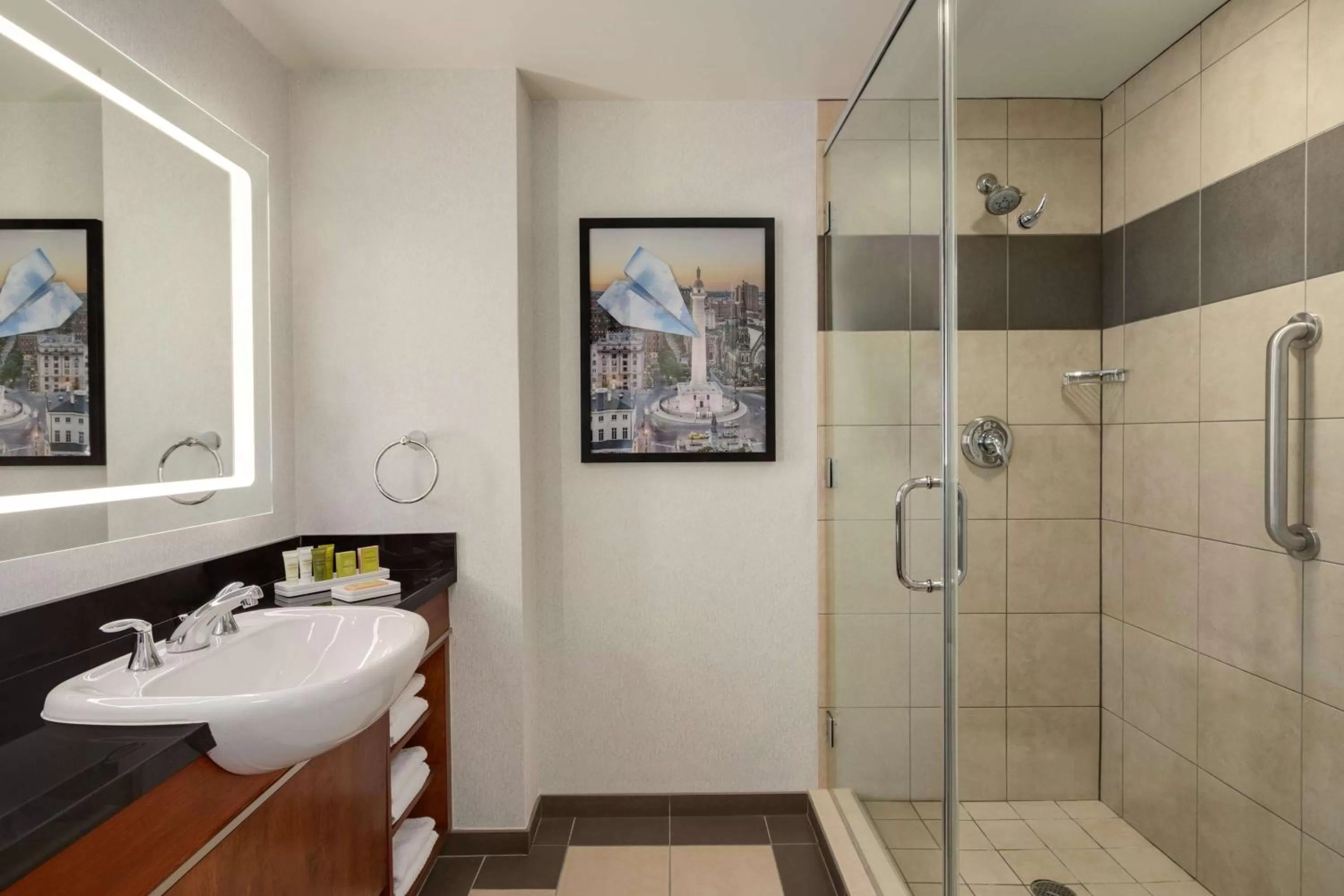 Bathroom in Hilton Baltimore BWI Airport