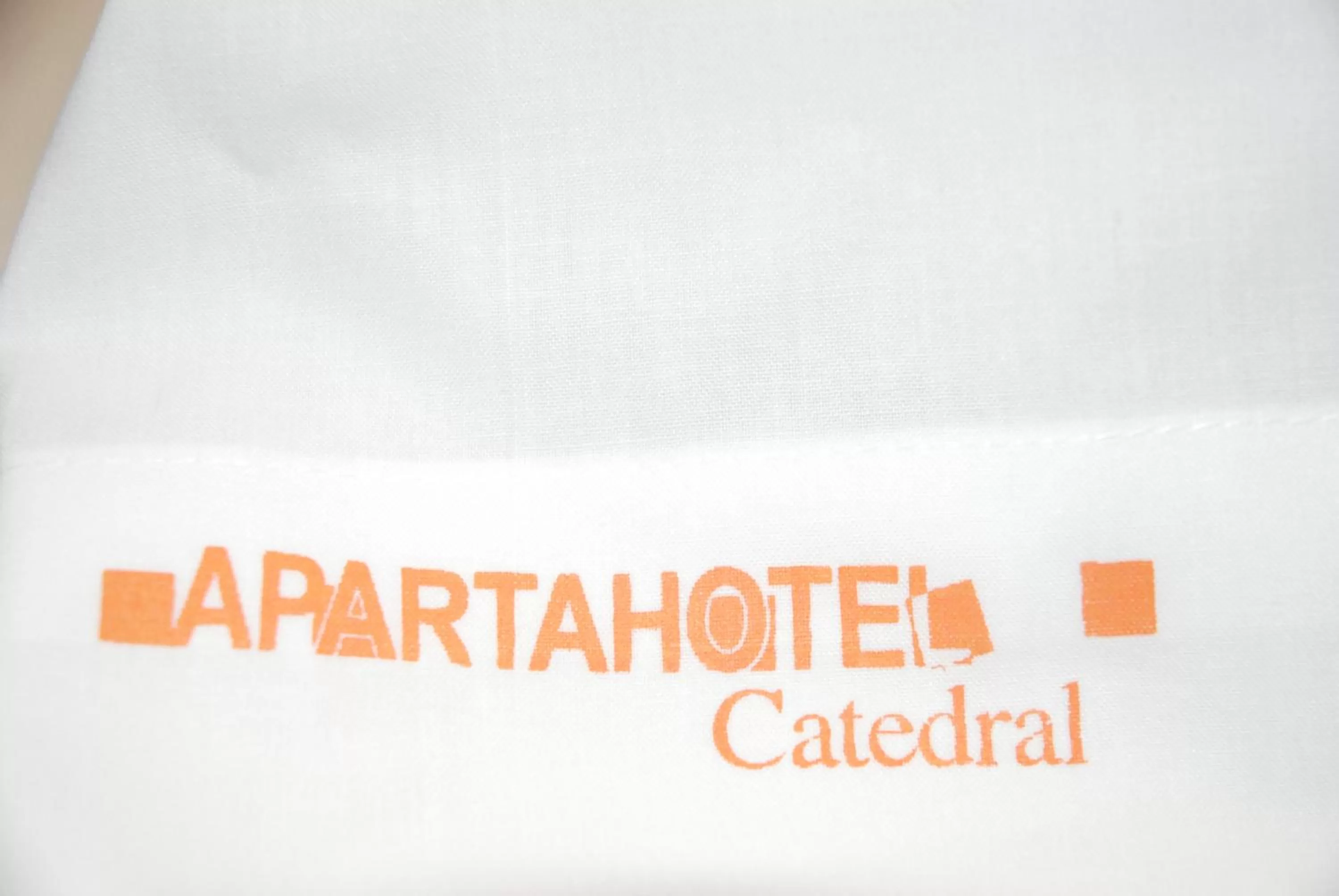 Property Logo/Sign in Apartahotel FC Catedral