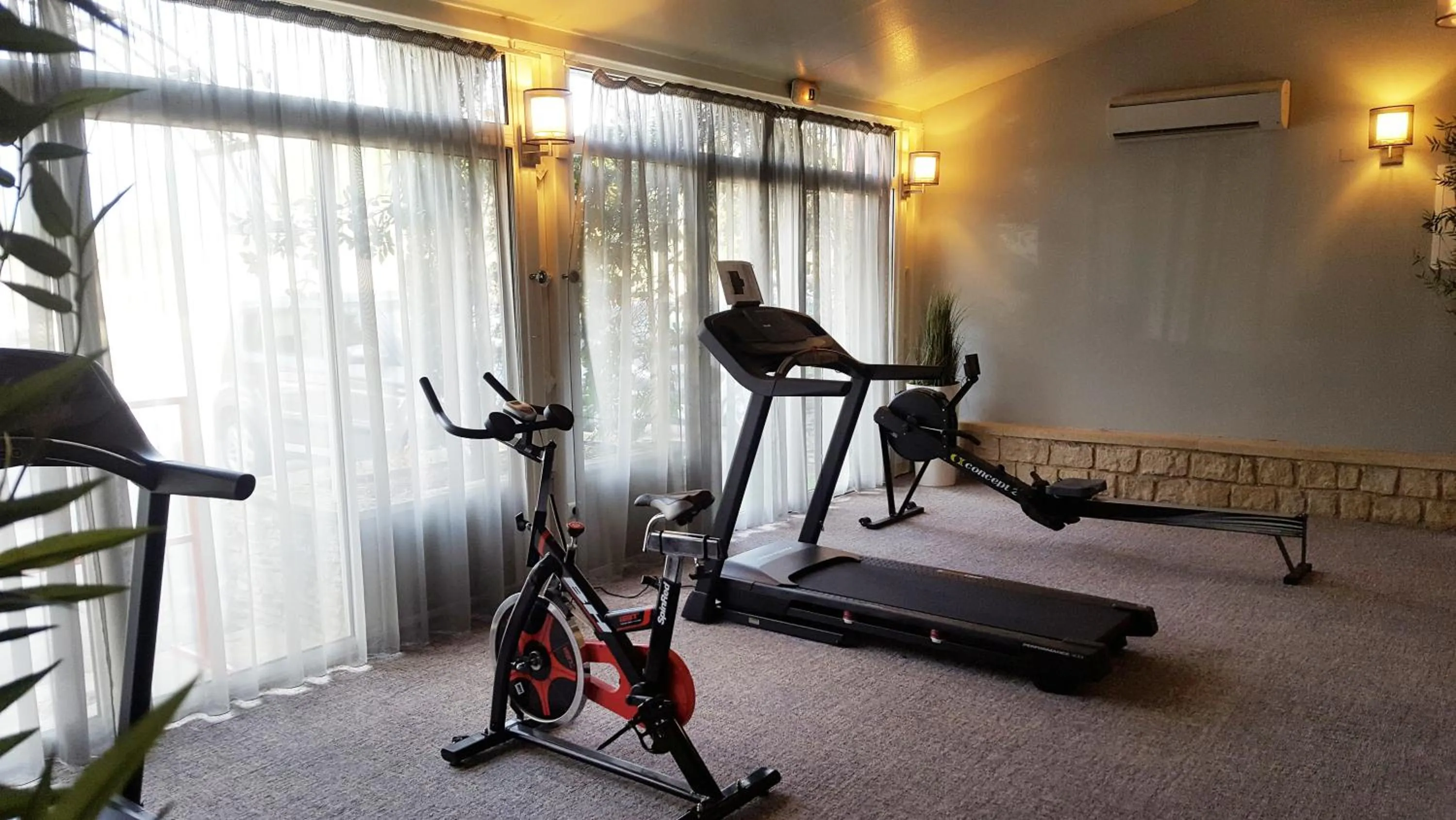 Fitness centre/facilities in Best Western Sévan Parc Hôtel
