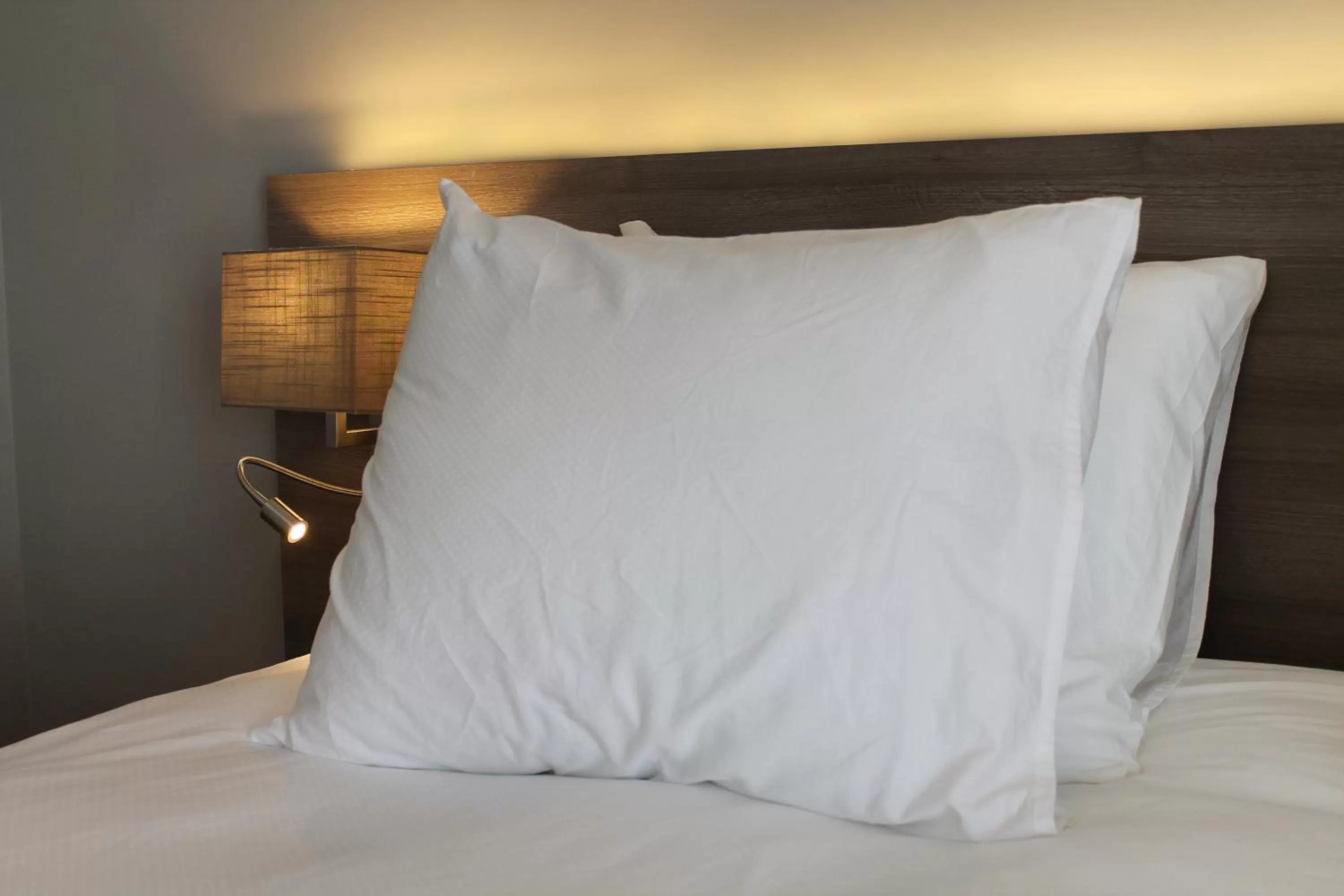 Bed in Schaluinenhoeve