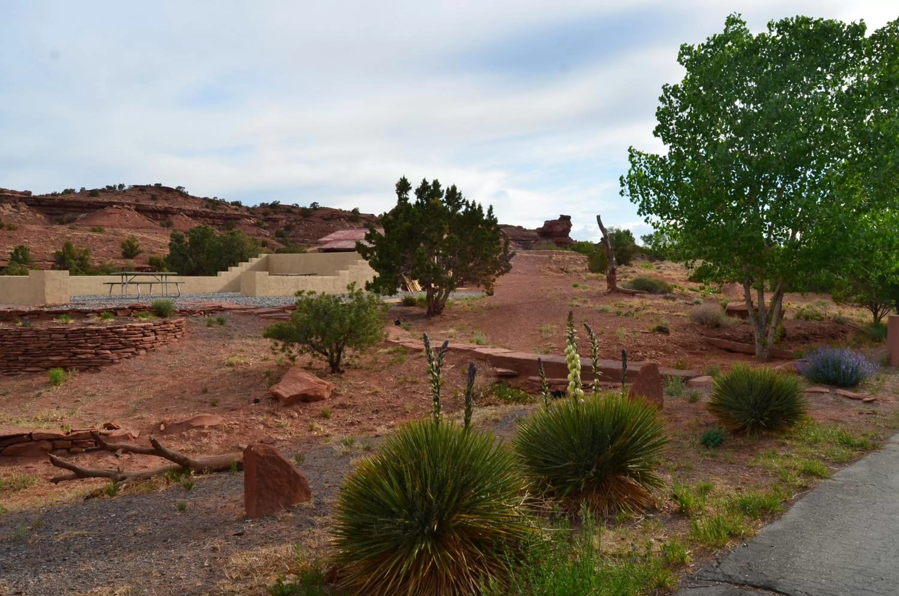 Spring in The Noor Hotel