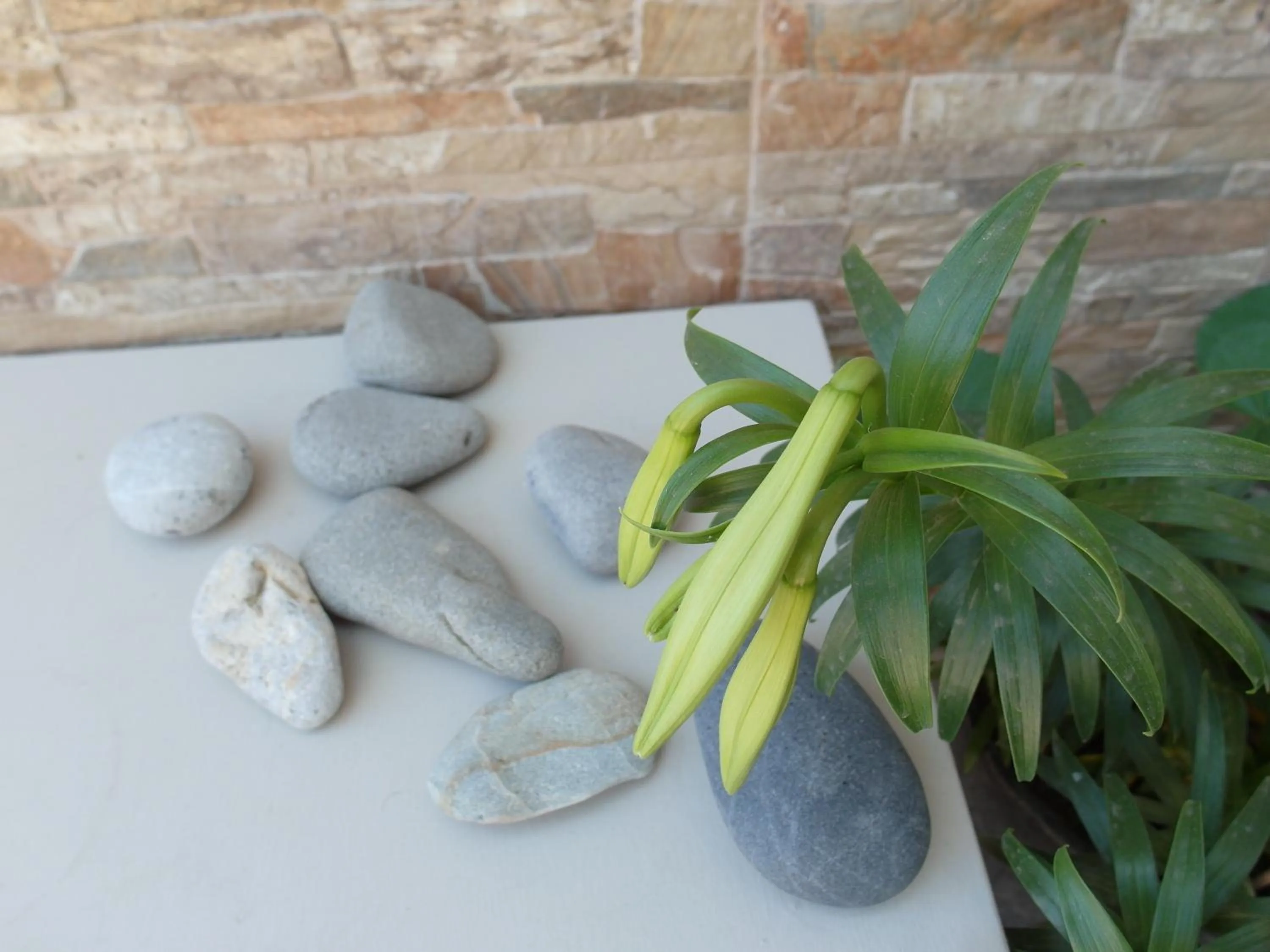 Decorative detail in Hotel Alexandrion