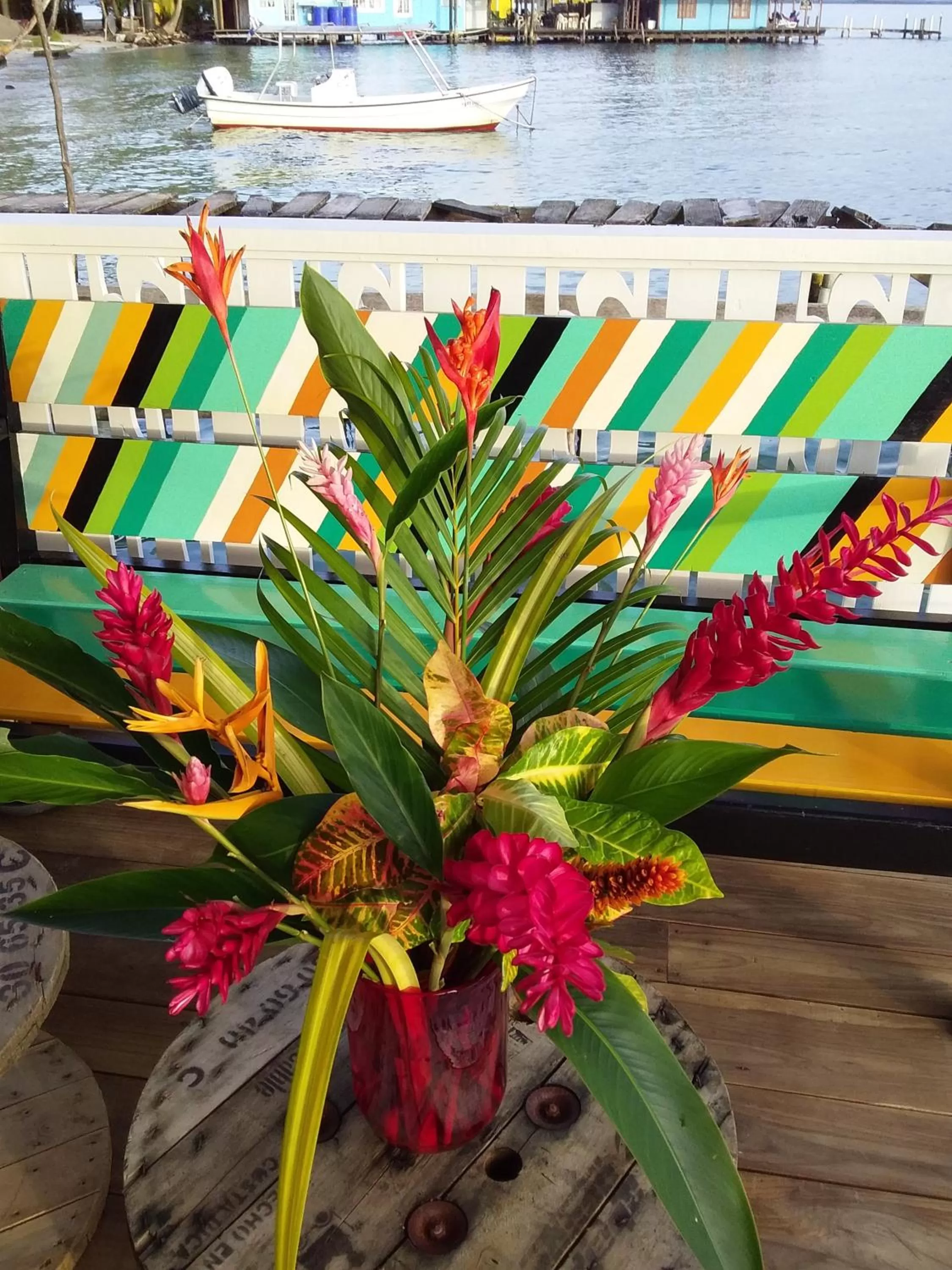 Property building in RIVA B&B