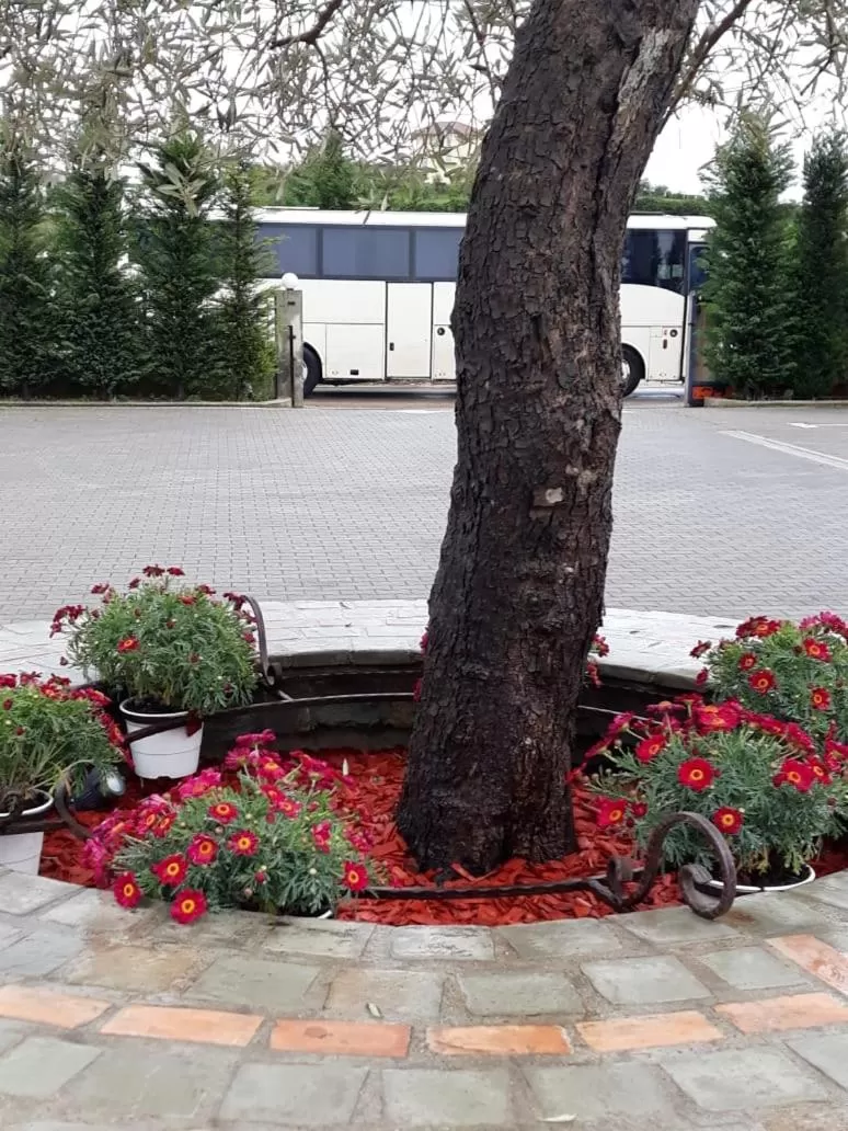 Garden in Drini Hotel