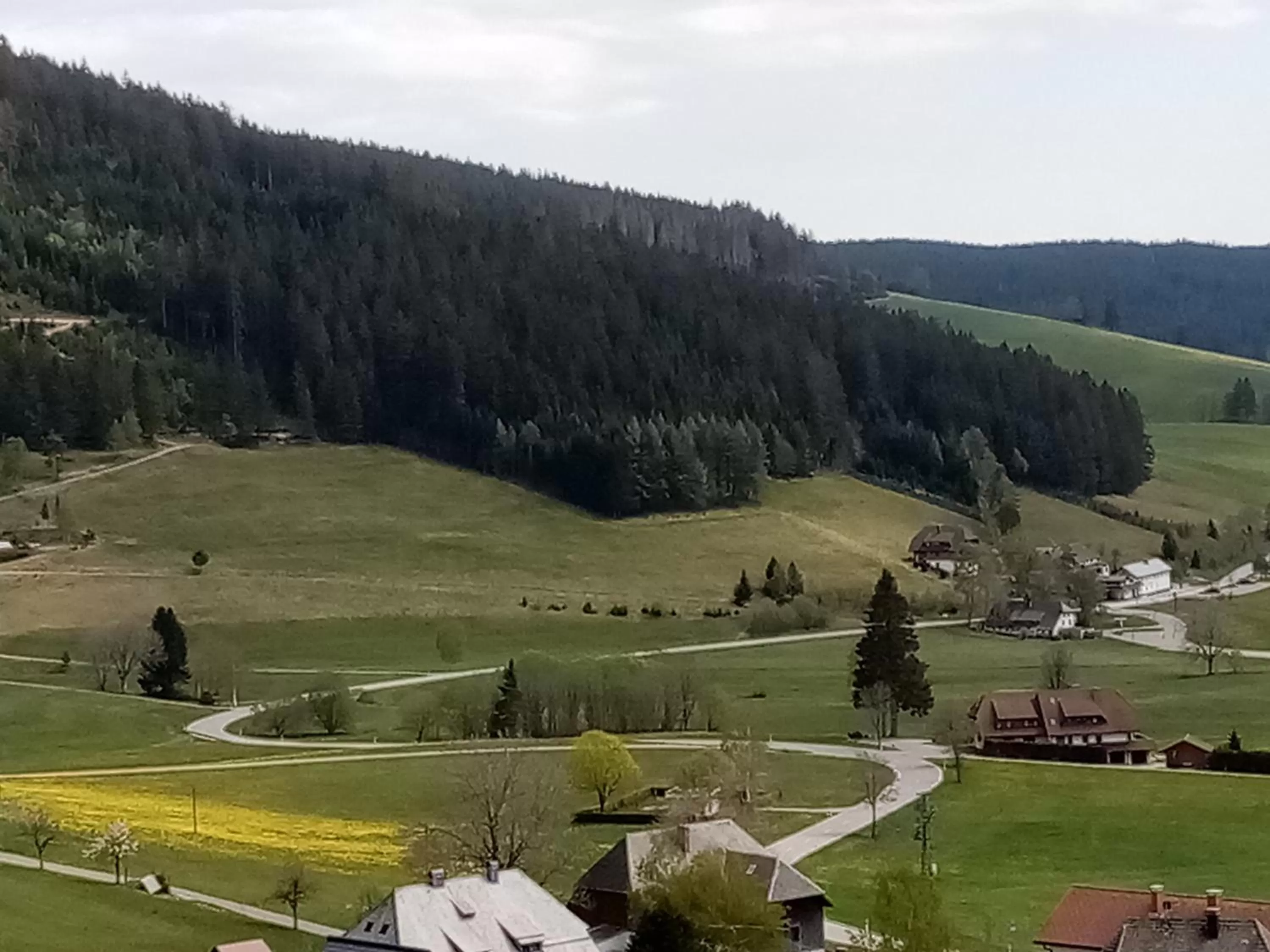 Natural landscape in ZUR TRAUBE Schwarzwaldhotel & Restaurant am Titisee