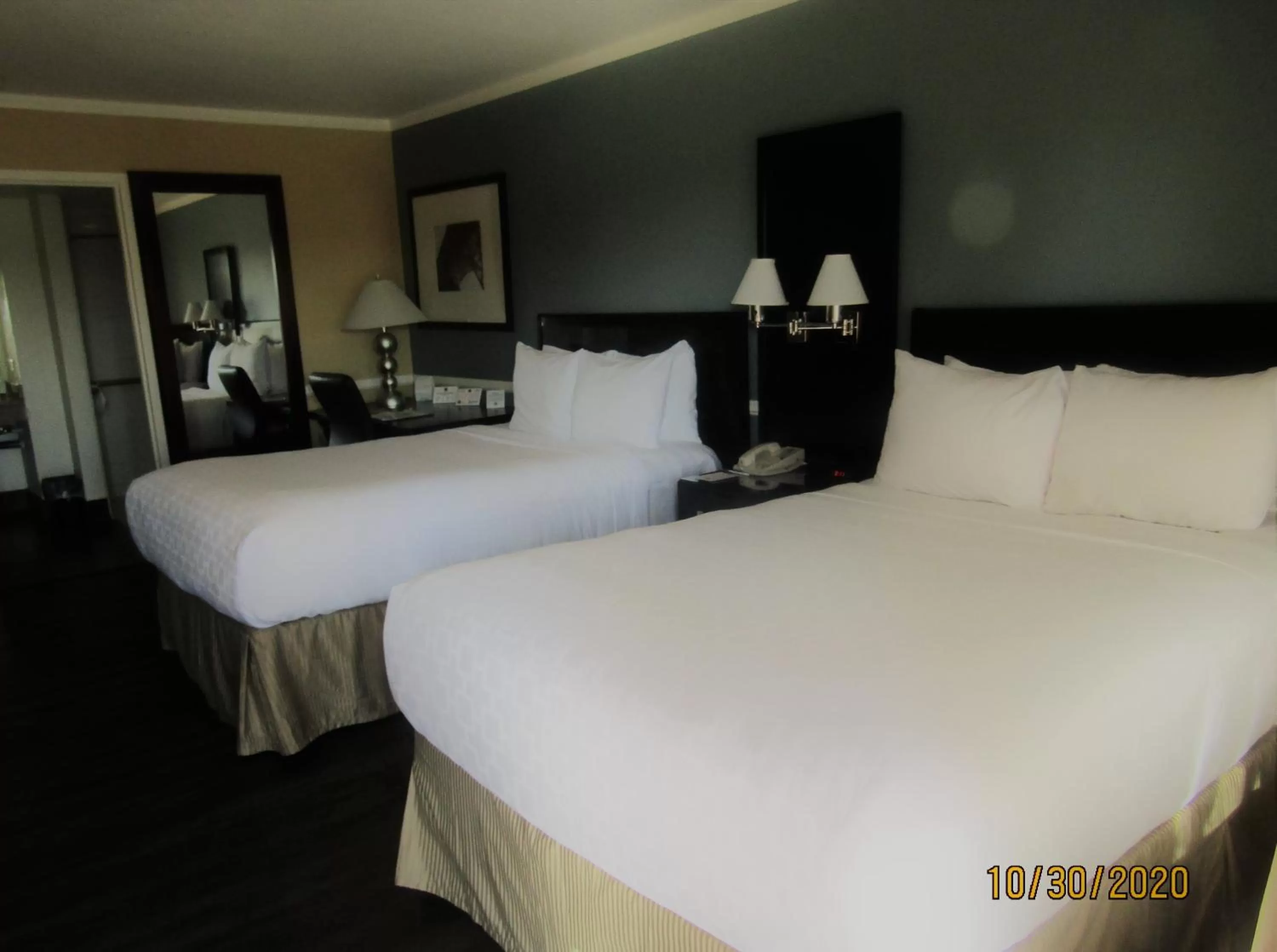 Bedroom, Bed in Clarion Inn Near China Lake Naval Station
