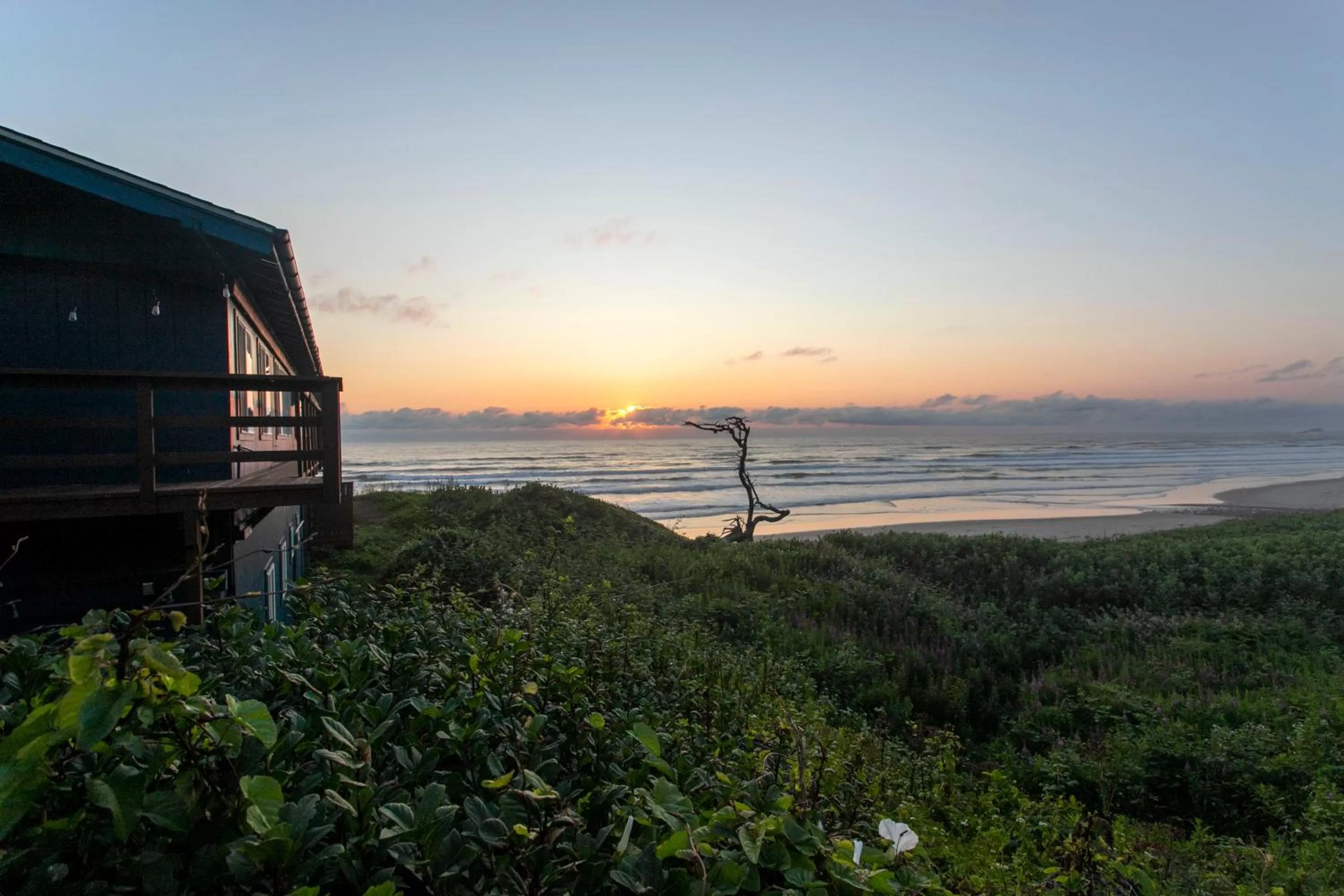 Natural landscape in Moolack Shores Inn