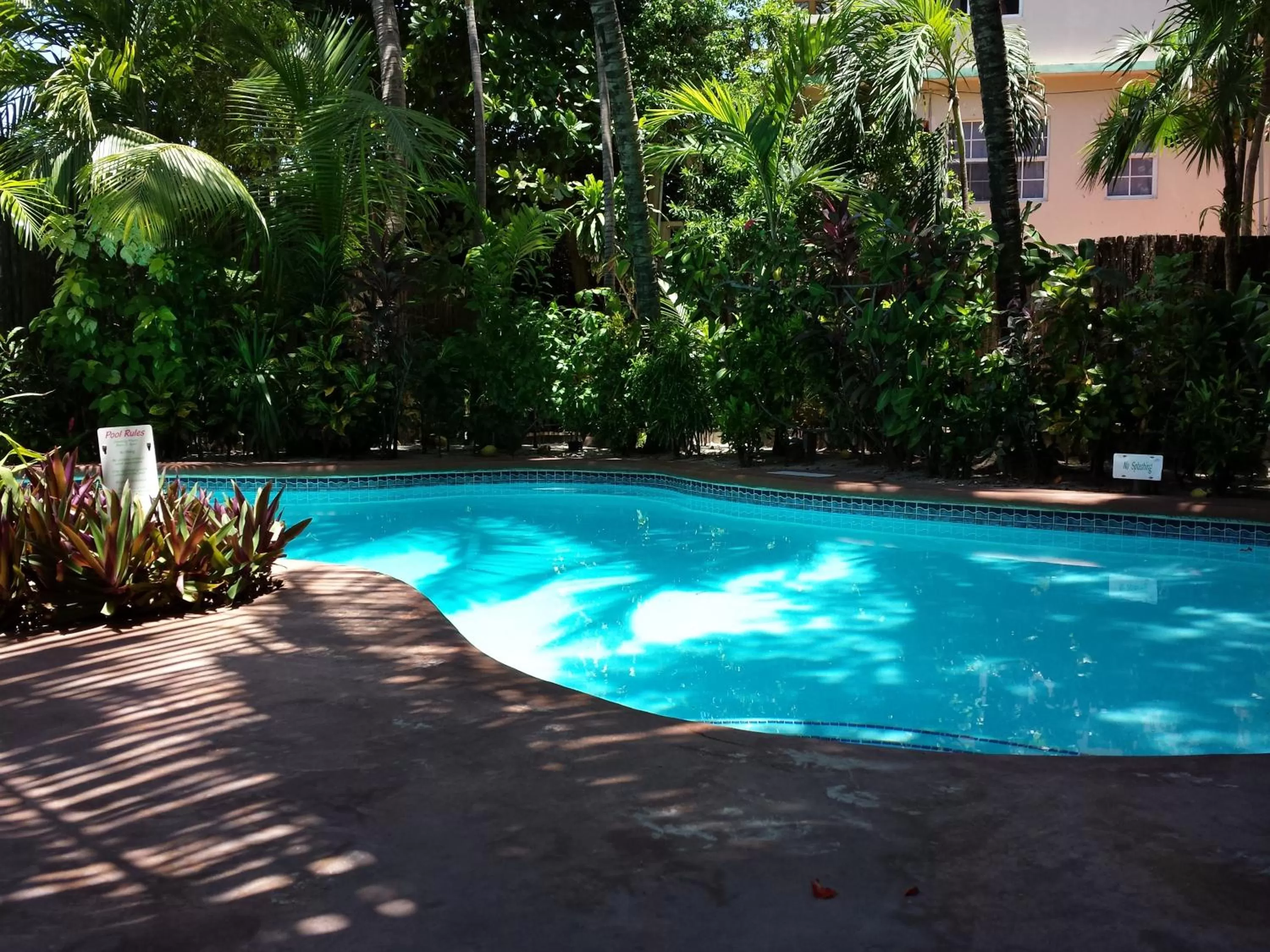 Day in The Palms Oceanfront Suites