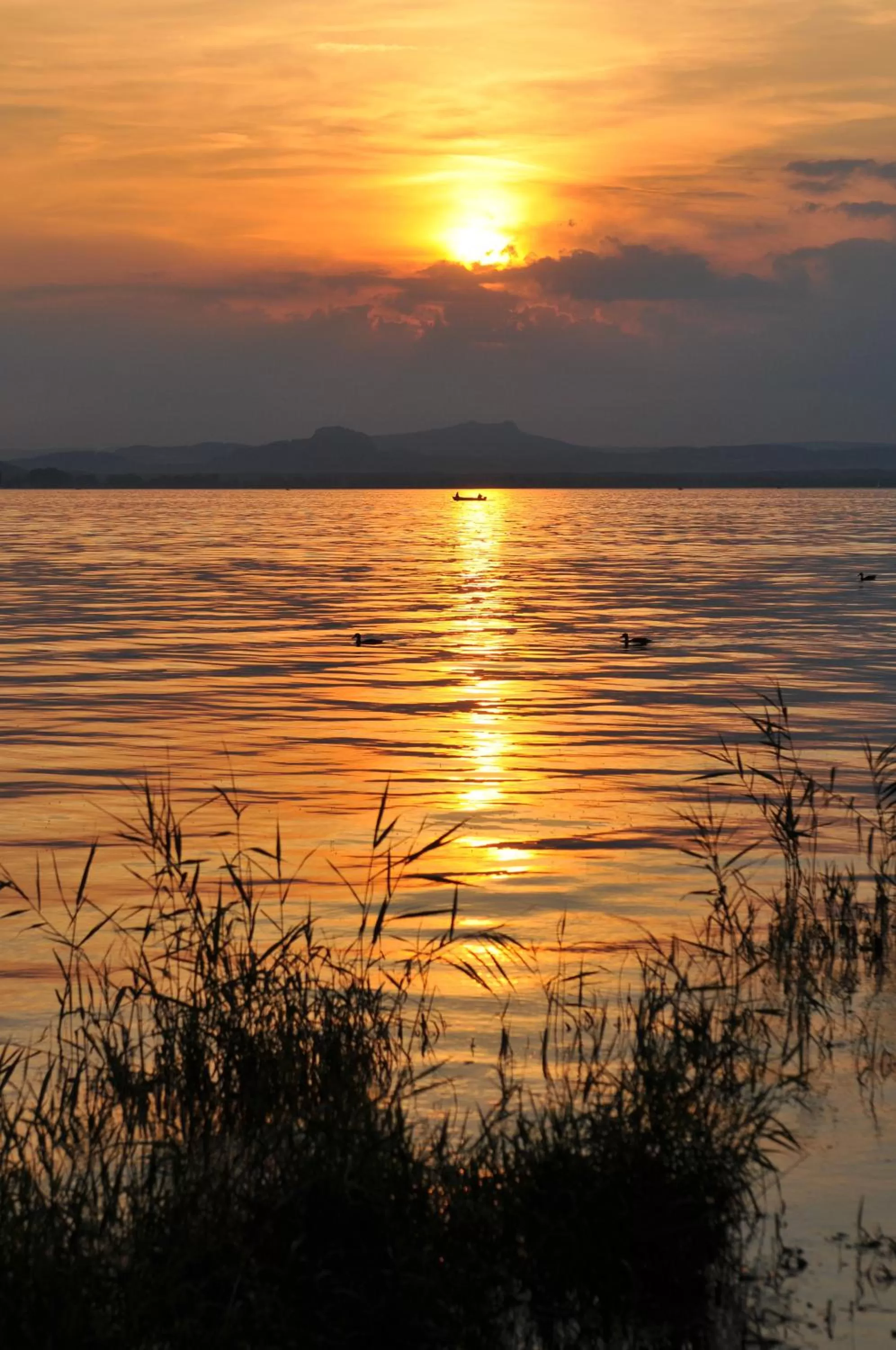Natural landscape in Hotel mein inselglück