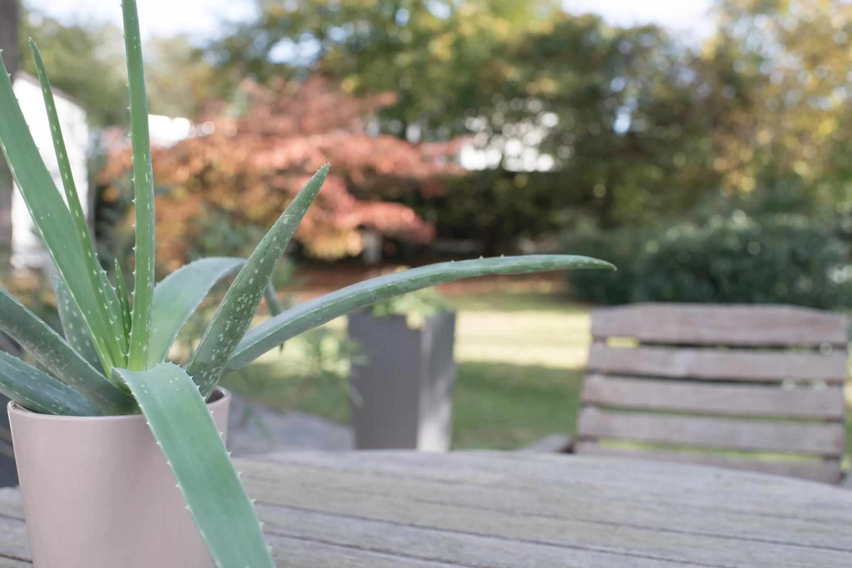 Autumn in Parkhotel Styria