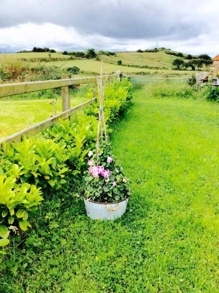 Property building in Holland House F94DP26