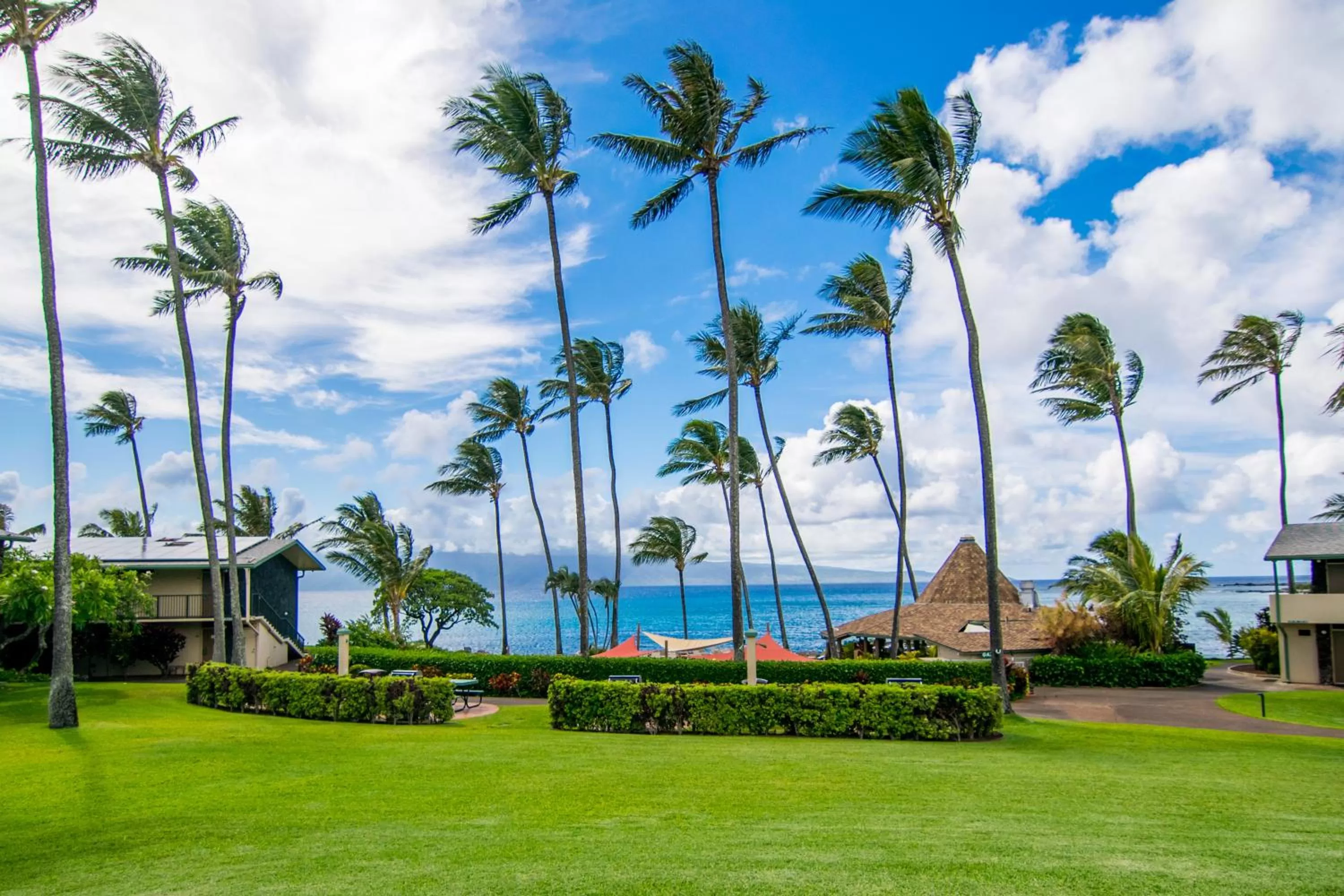 Natural landscape in Napili Shores Maui by OUTRIGGER - No Resort & Housekeeping Fees