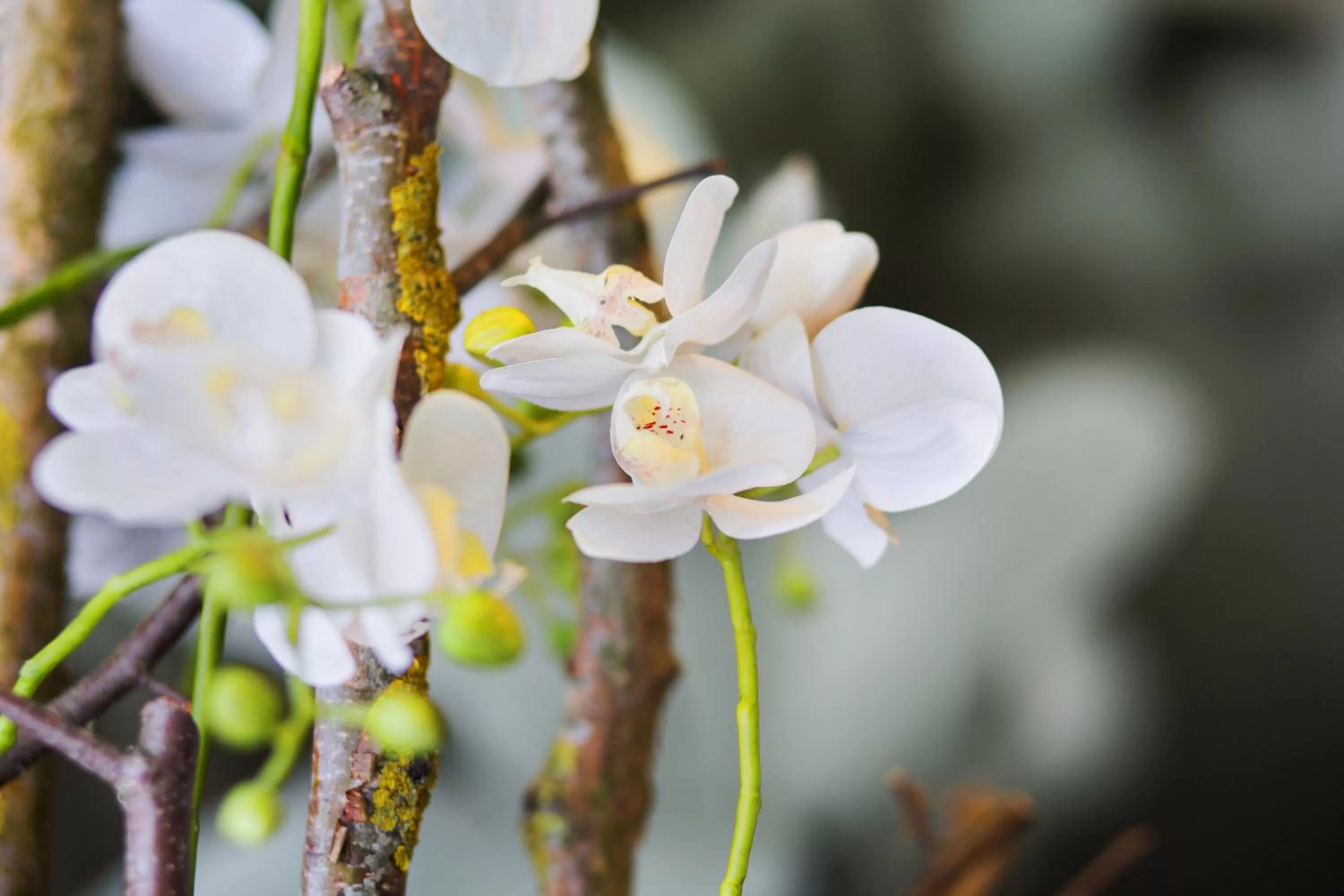 Other in RiKu HOTEL Weißenhorn