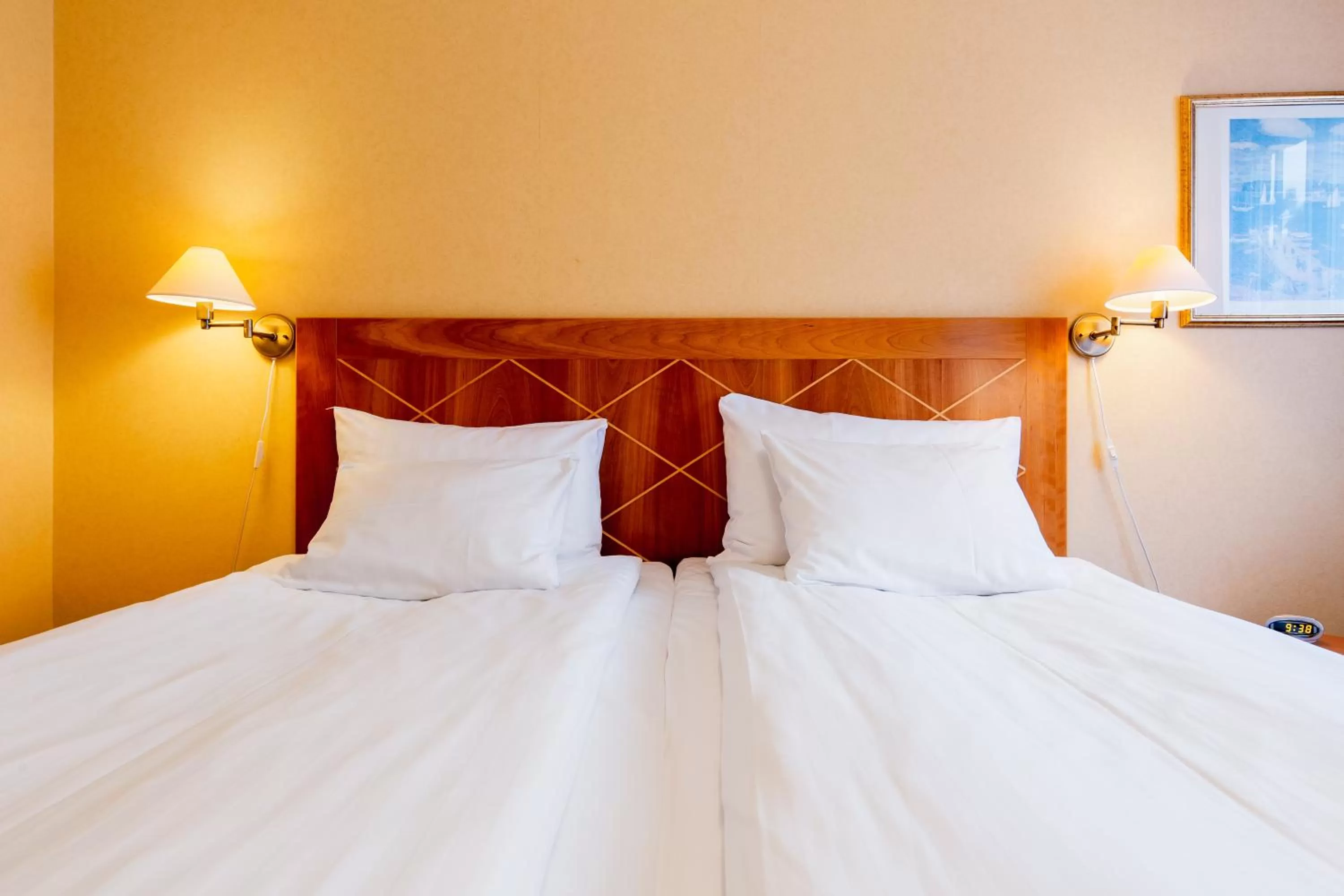 Bed in Best Western Hotel Esplanade