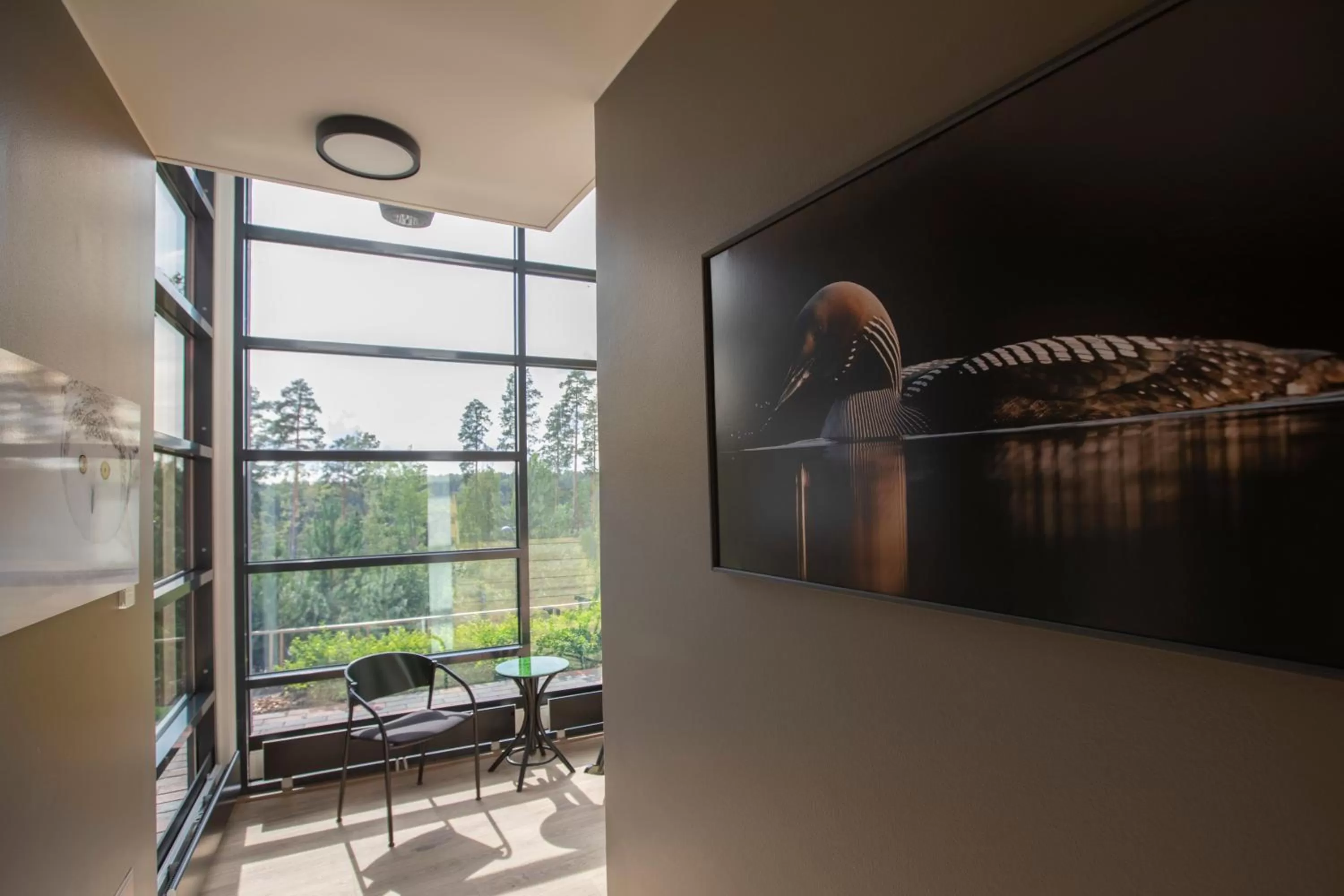 Lobby or reception in Haltia Lake Lodge nature boutique hotel & glamping