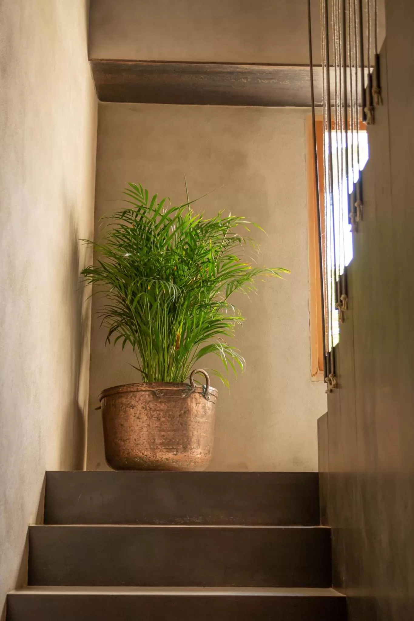 Can Moio Turismo de Interior