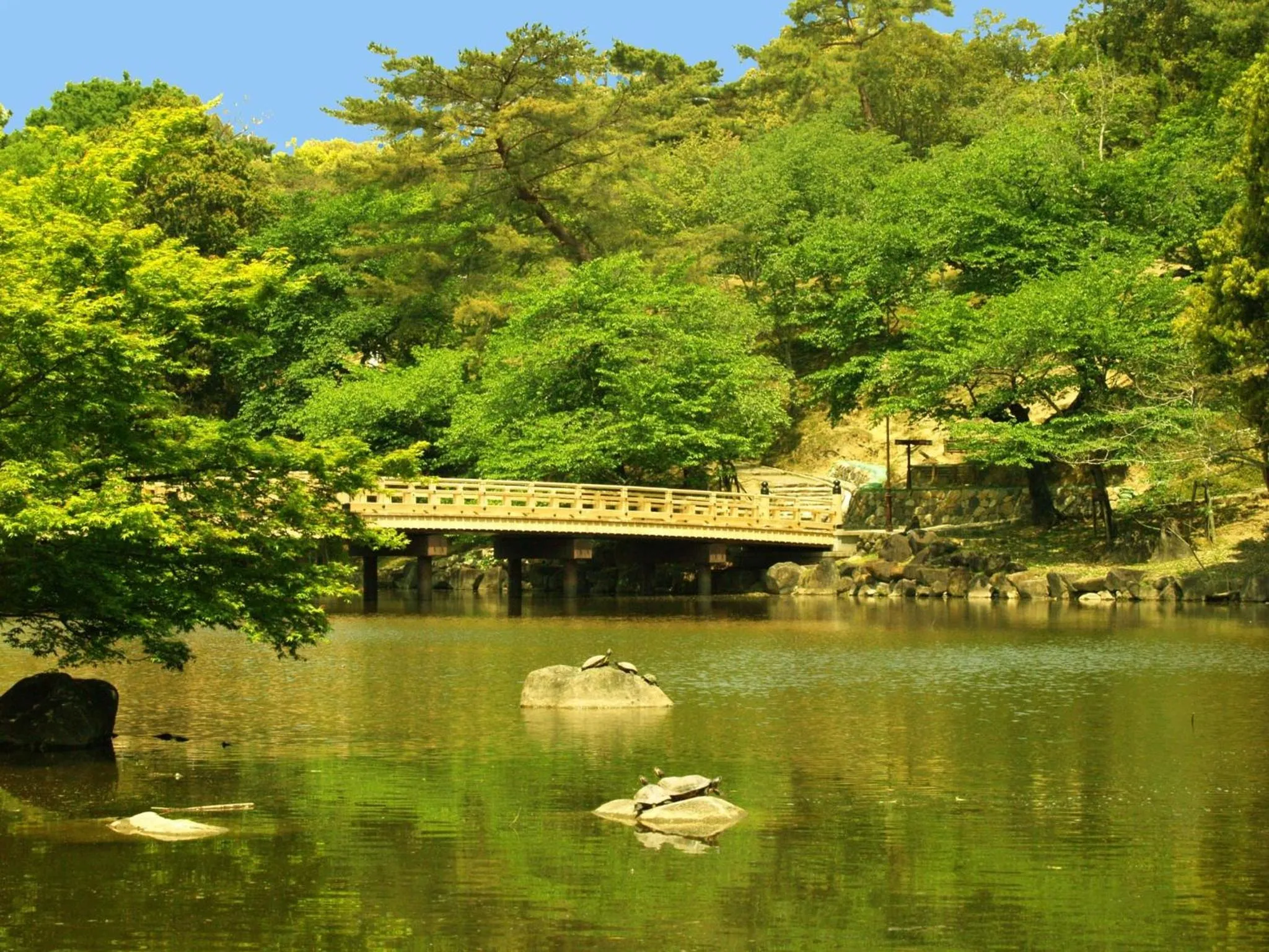 Off site in Guesthouse Nara Komachi