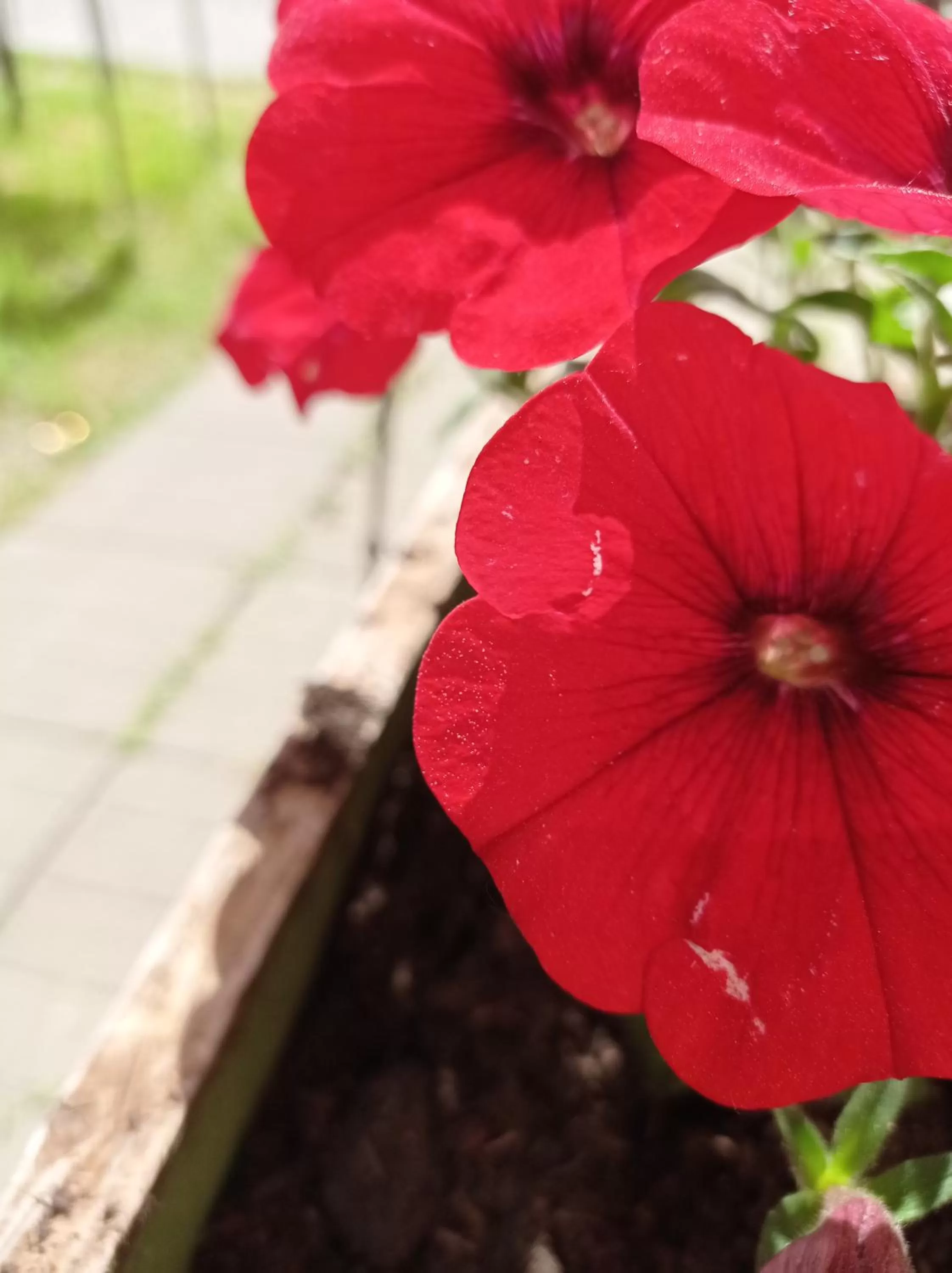 Spring in B&B Toscana