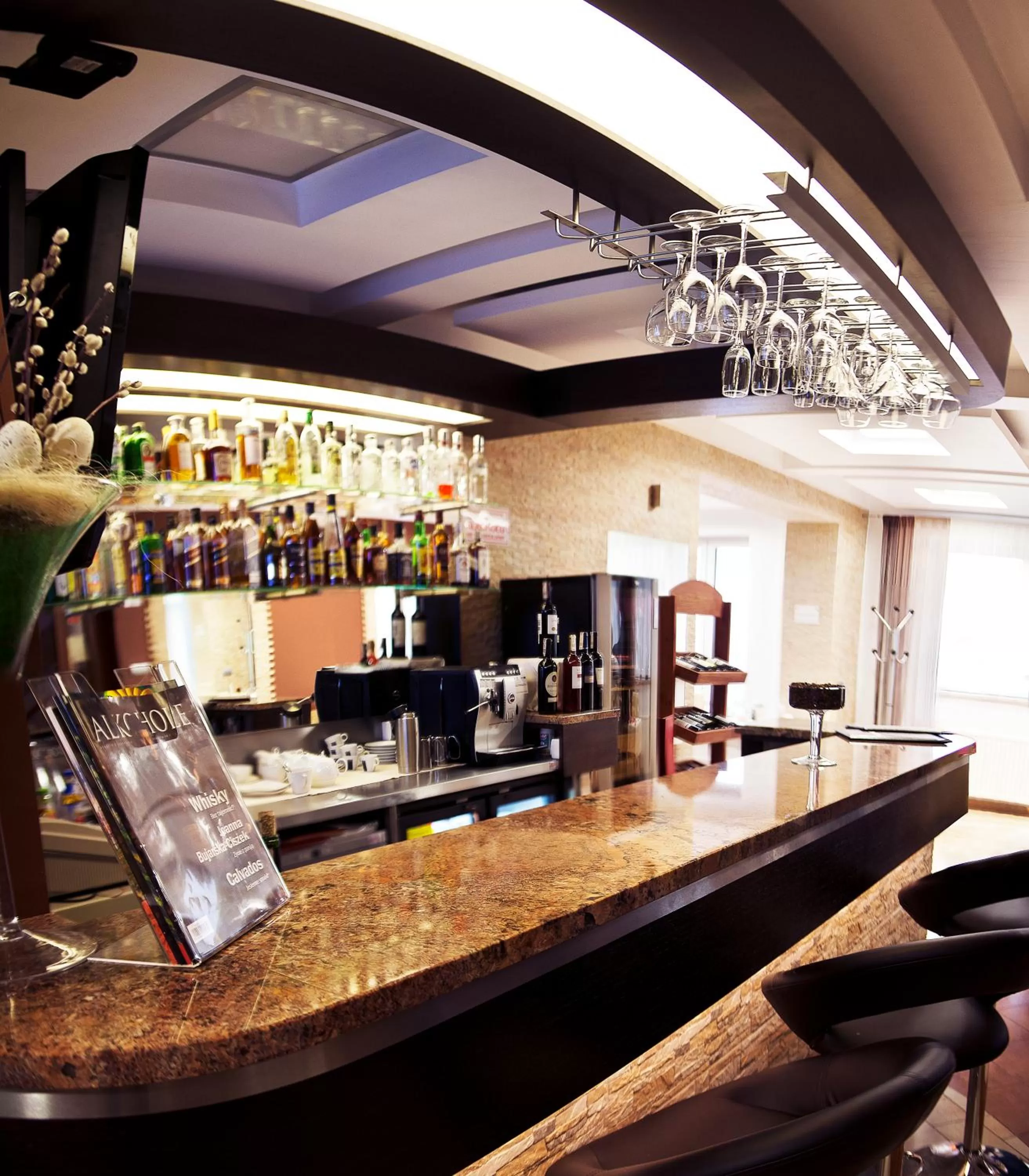 Lounge or bar, Lounge/Bar in Centrum Green Hill Business & SPA