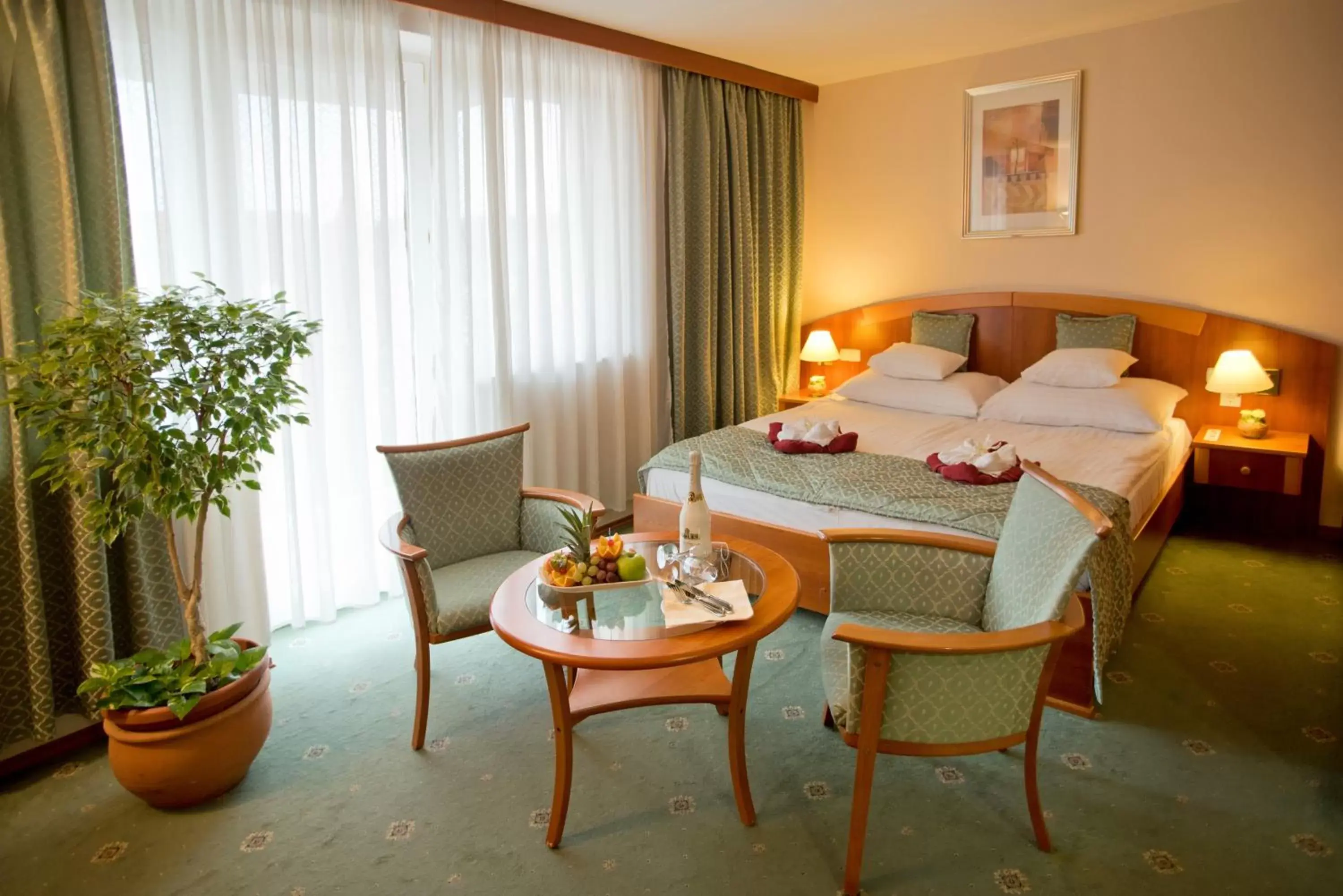 Double Room in Palace Hotel Hévíz Double Room in Palace Hotel Hévíz