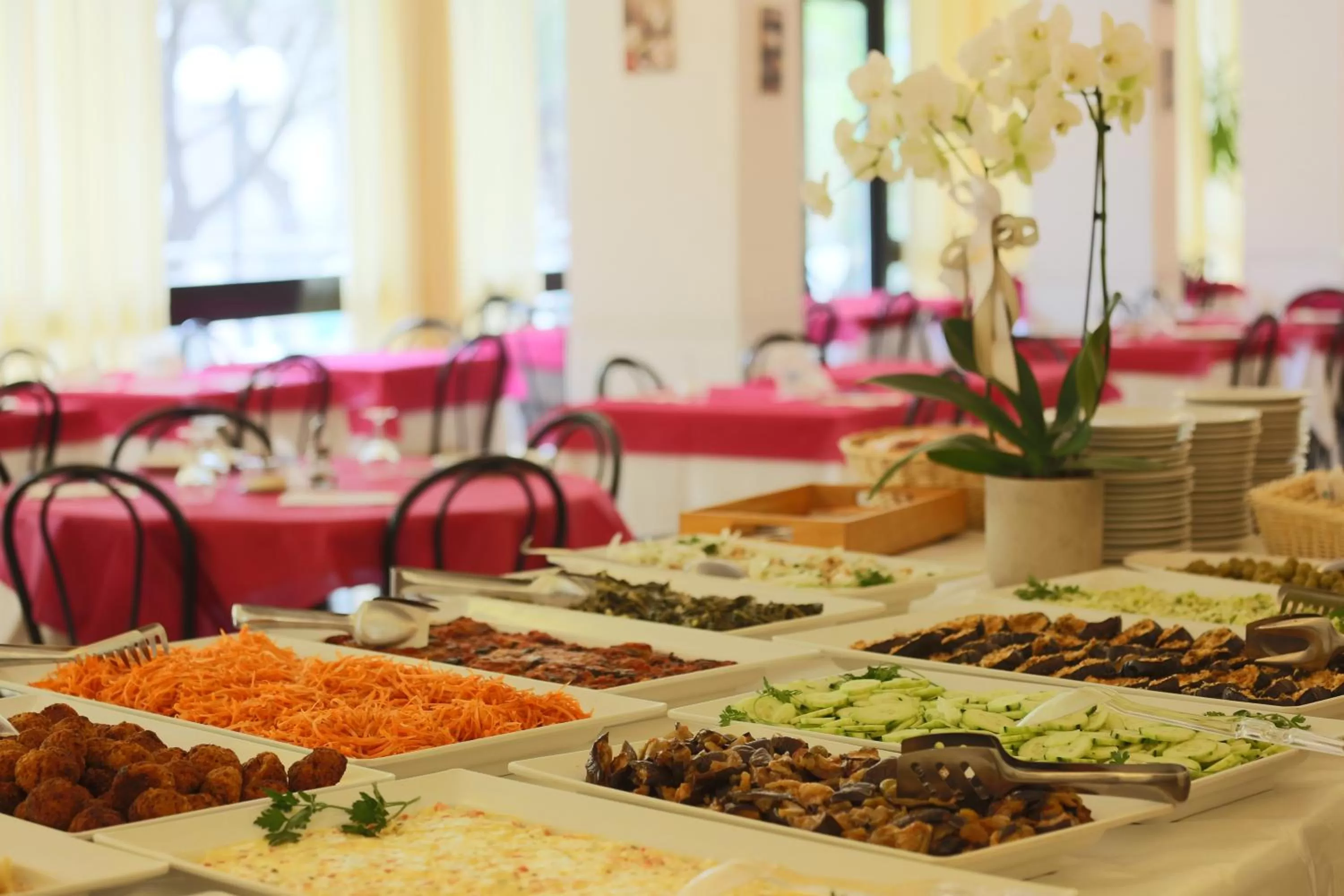 Meals in Hotel Europa