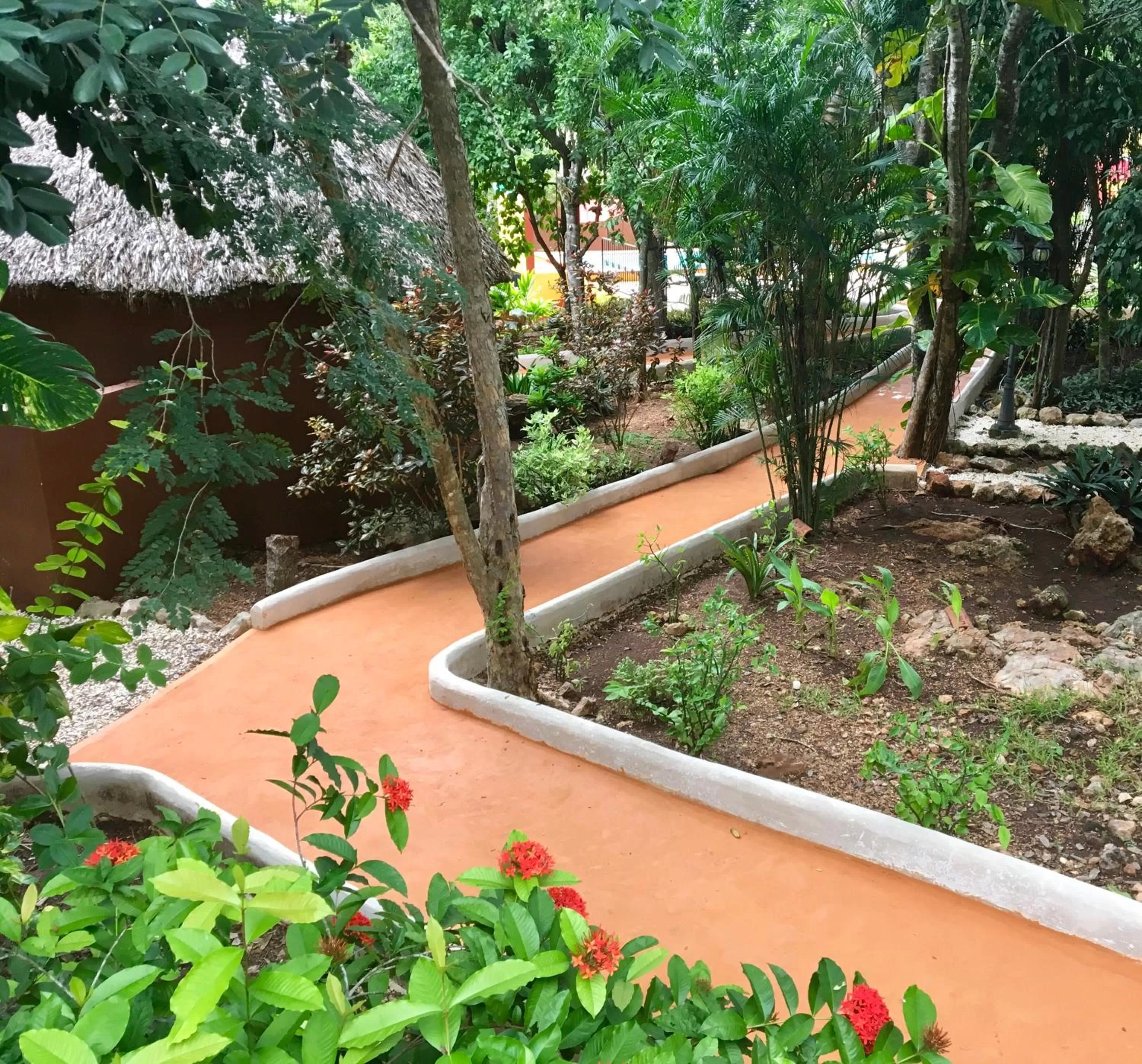 Garden in The Pickled Onion Eco-Boutique B&B