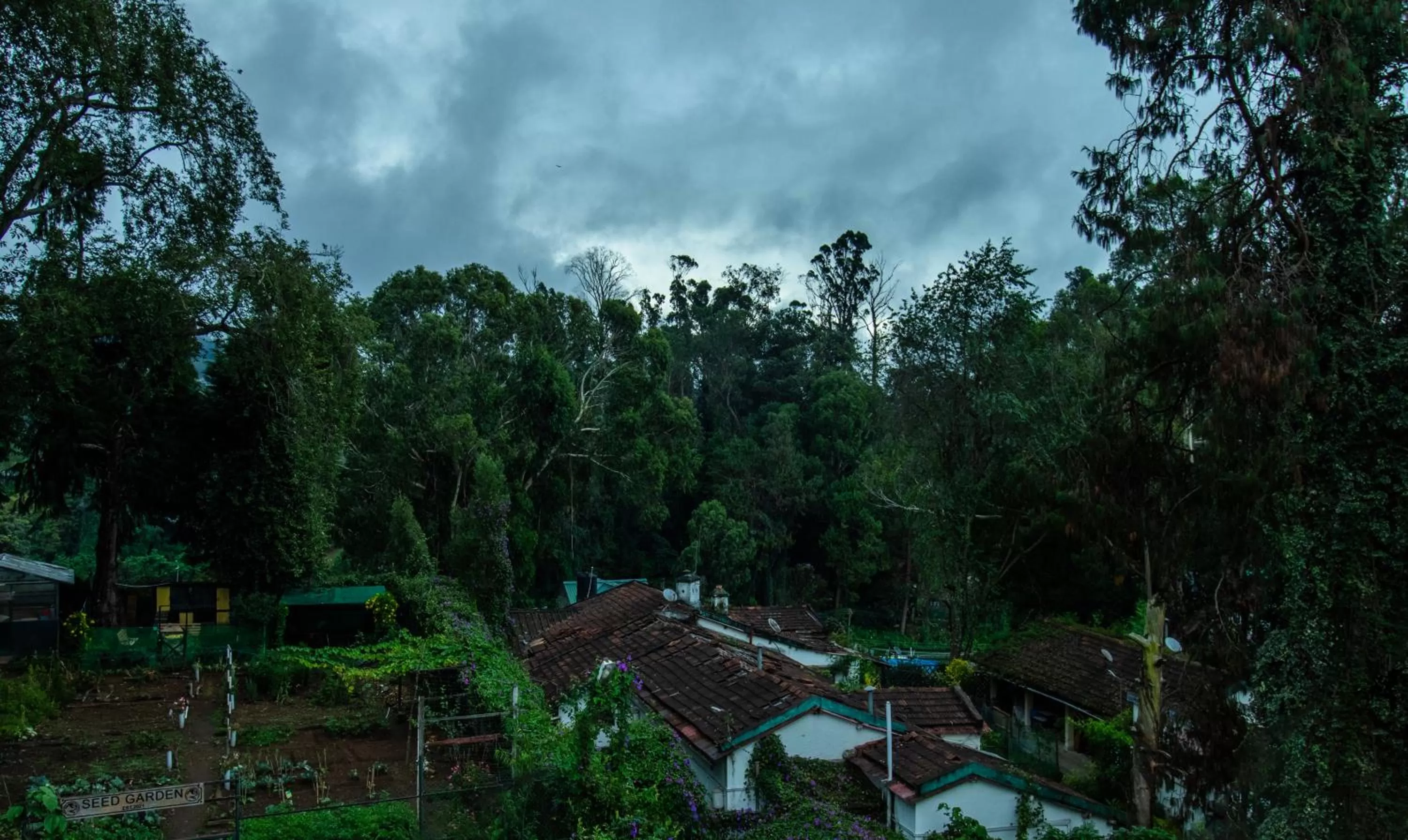 View (from property/room) in Treebo Kodai Kings Park, 650 M From Kodai Lake