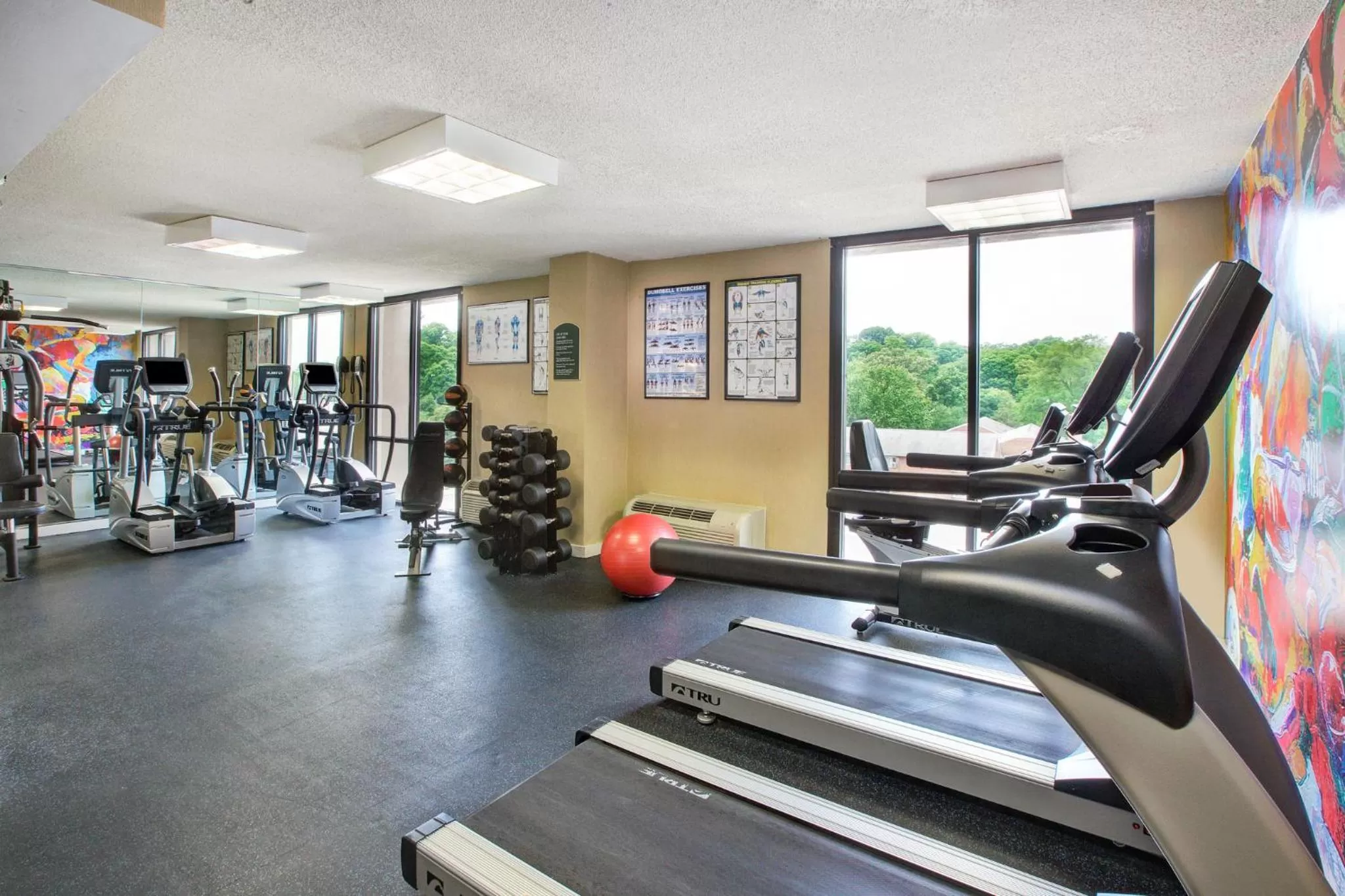 Fitness centre/facilities in Holiday Inn National Airport/Crystal City by IHG