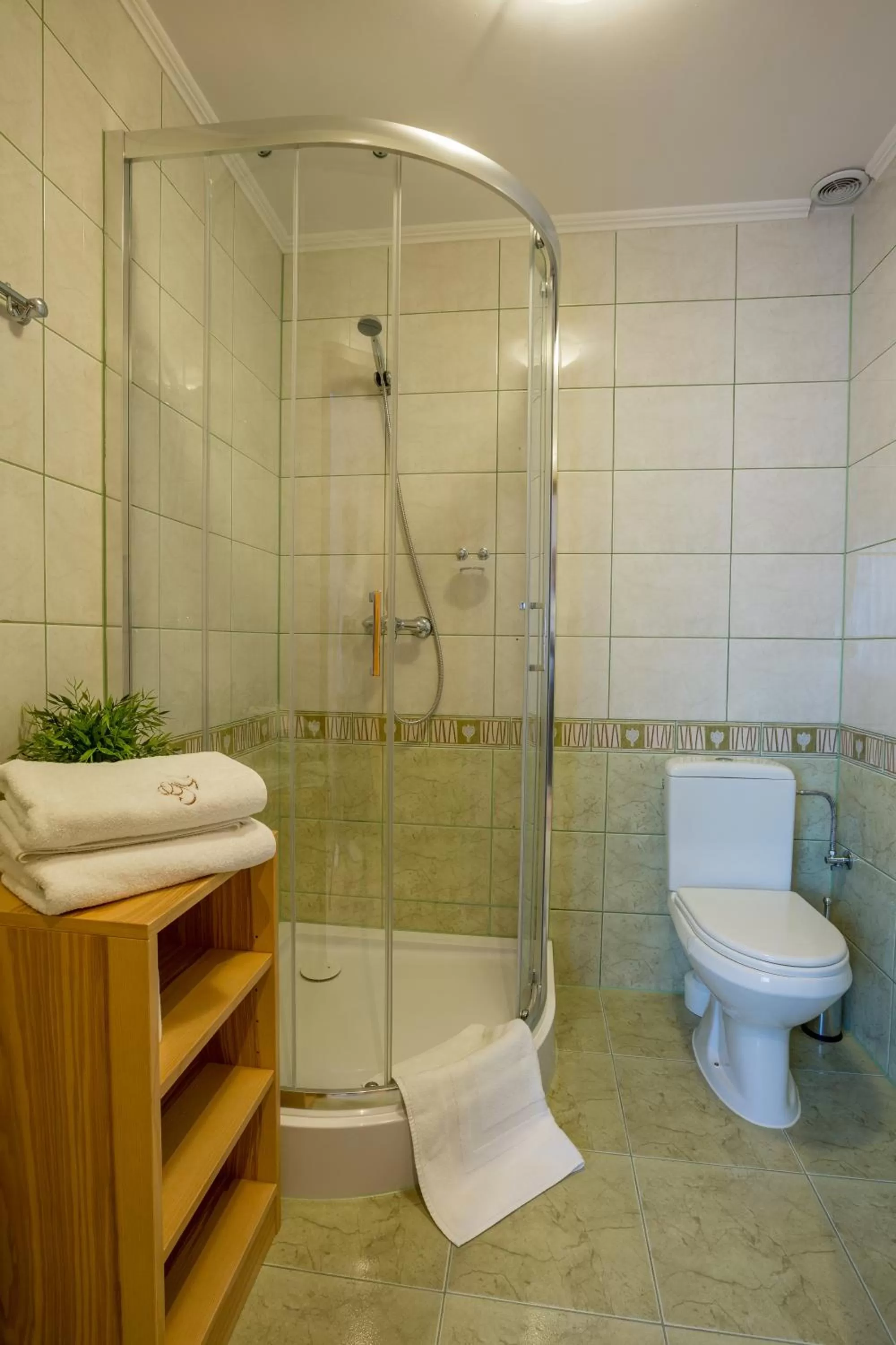 Shower in Willa Góralsko Riwiera