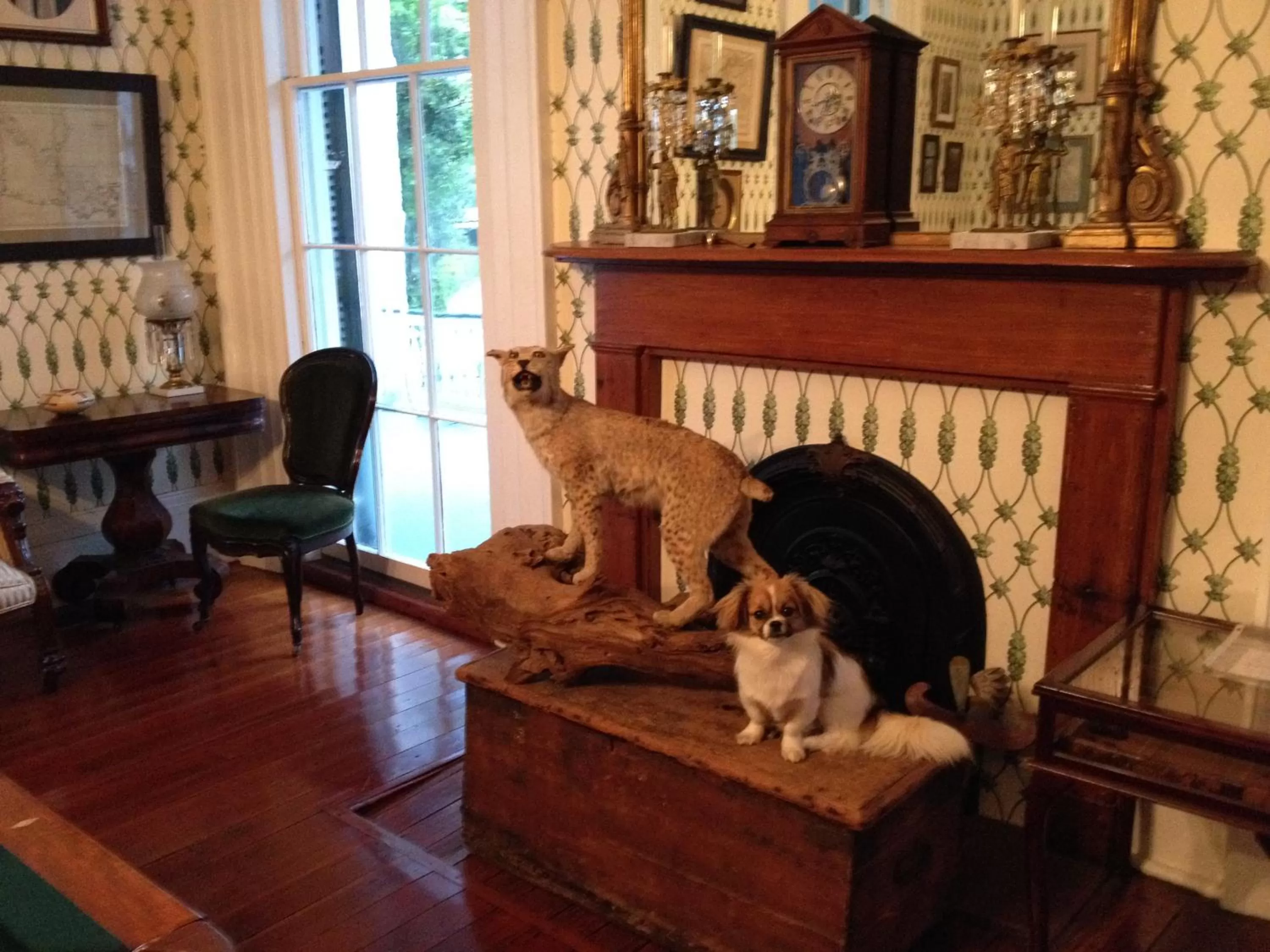 Decorative detail in Stone House Musical B&B