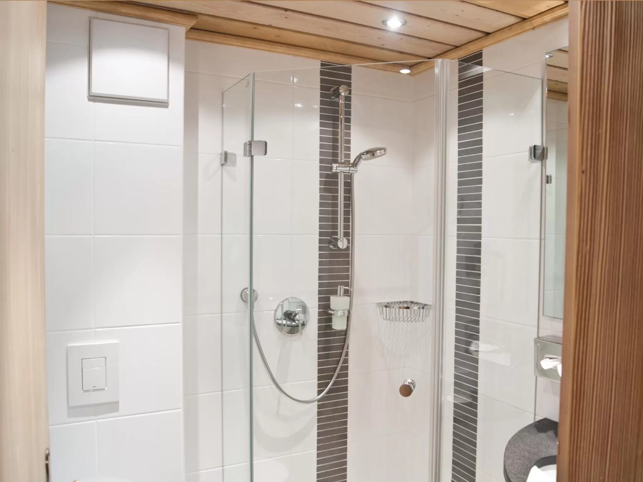 Shower, Bathroom in Hotel Grüner Baum