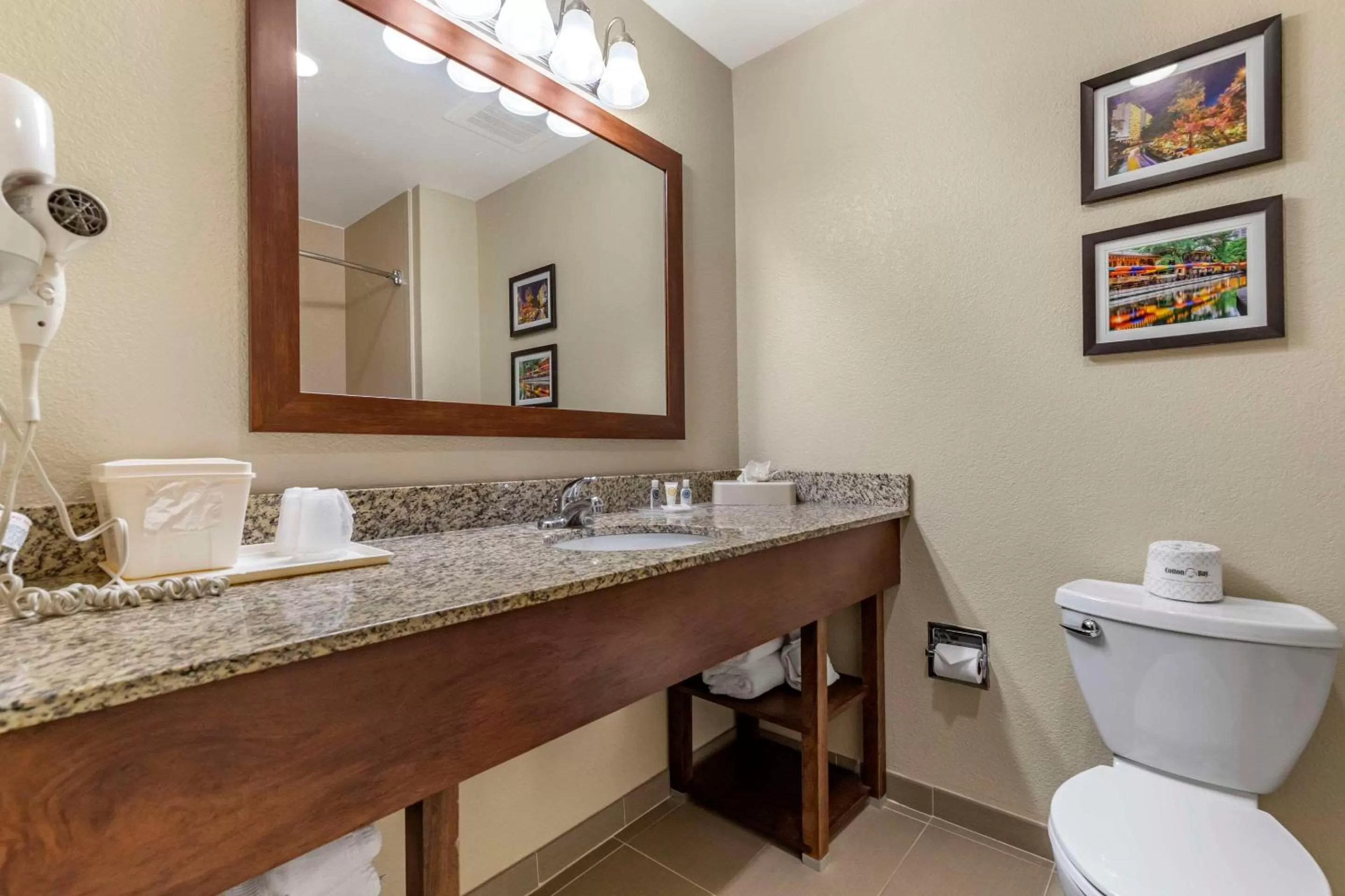 Bedroom in Comfort Suites Medical Center near Six Flags